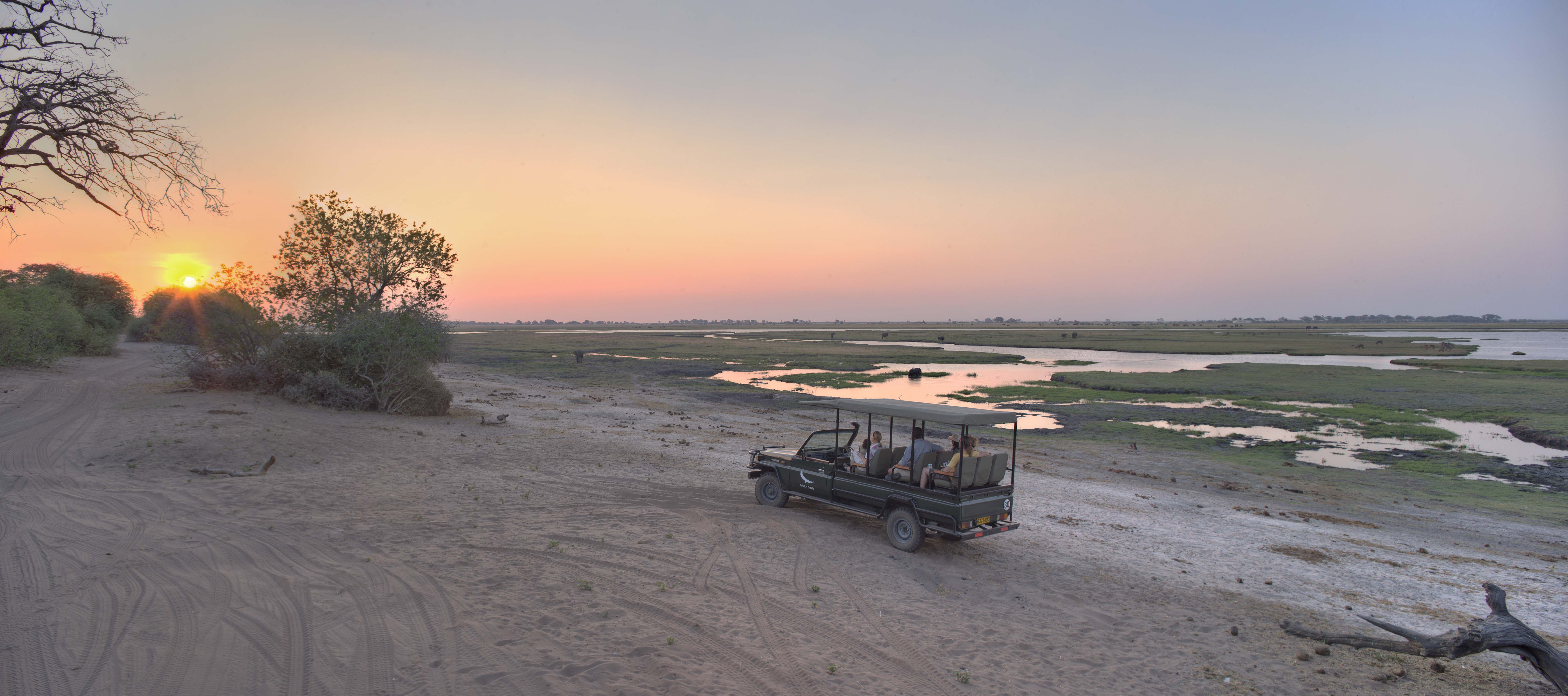 Game Drive at Chobe Under Canvas