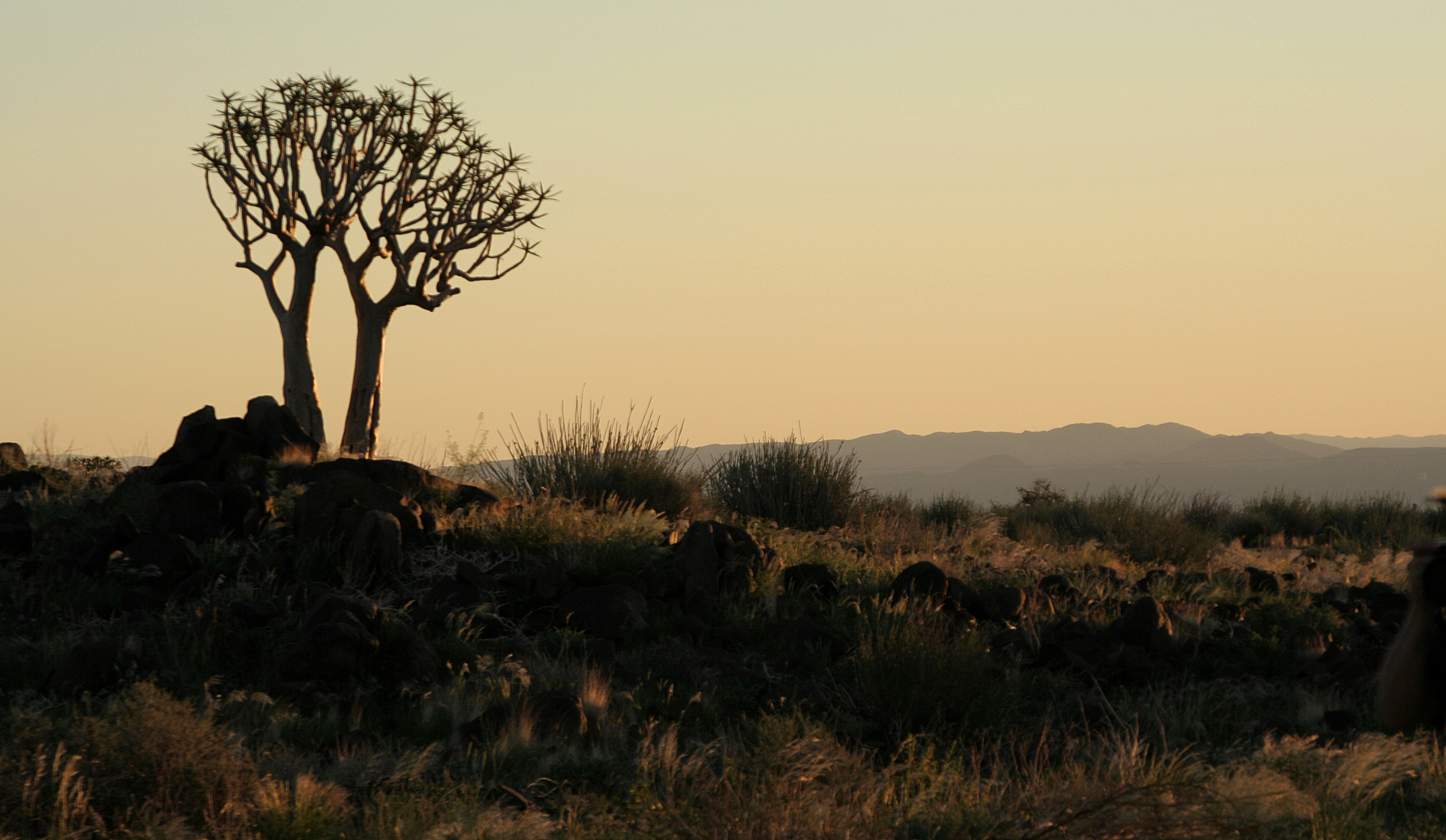 The beautiful landscape around Canyon Lodge.