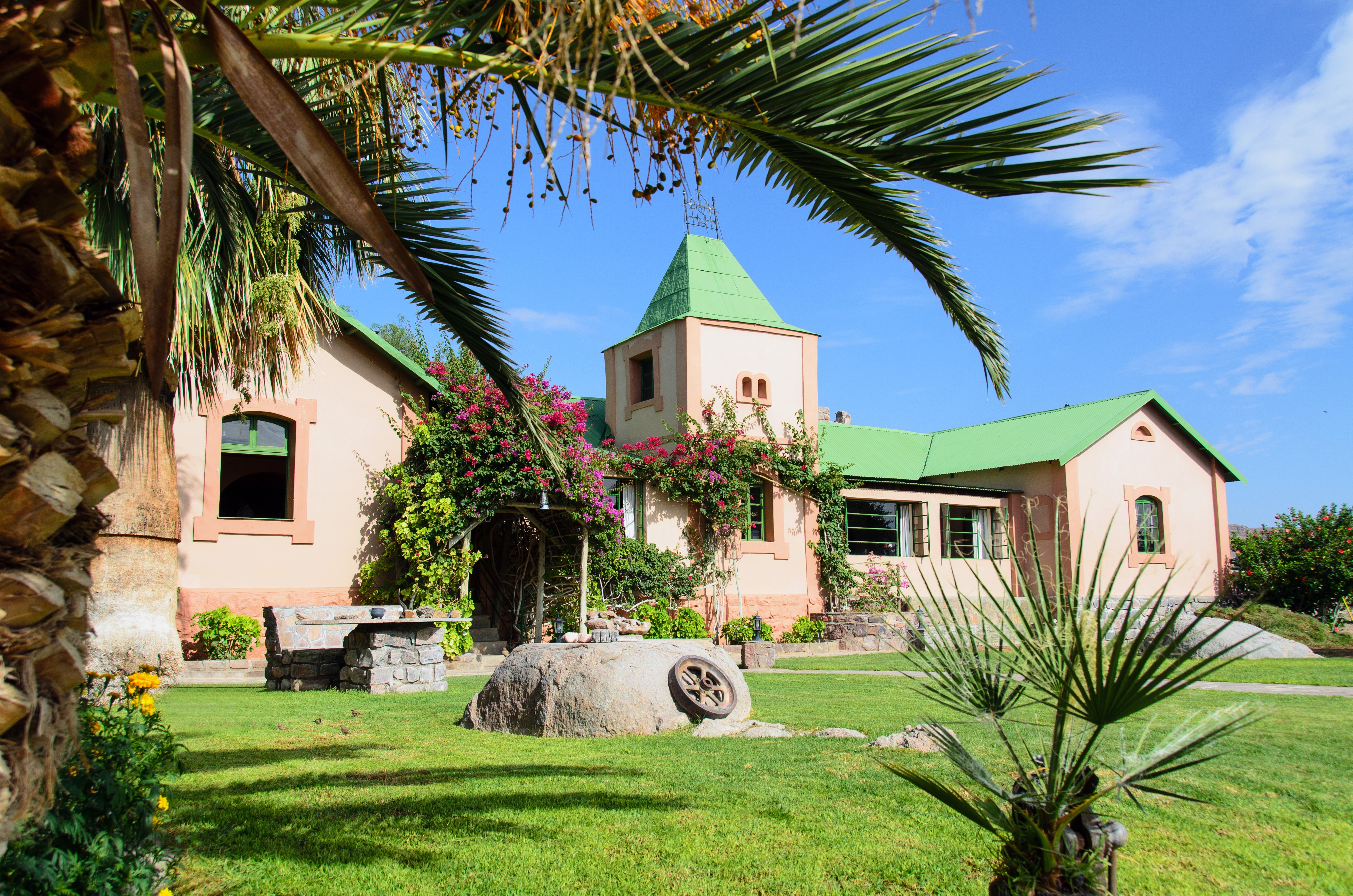Th view of the garden 