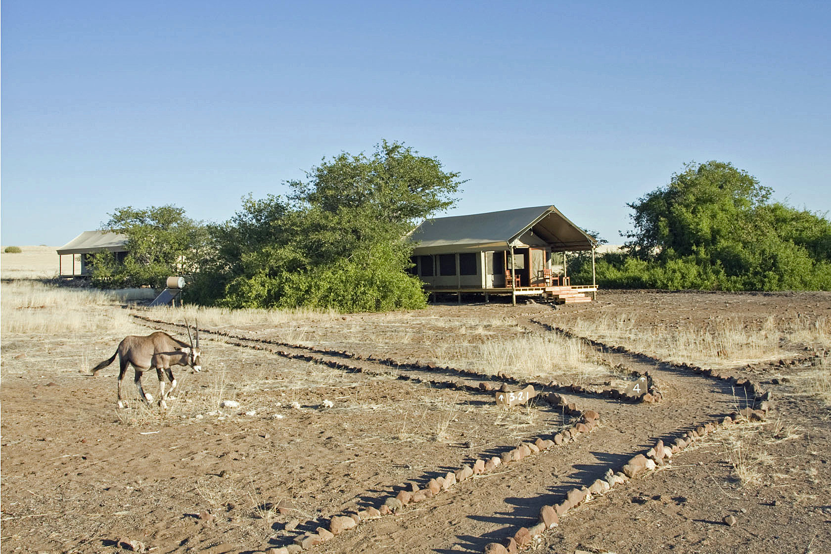 Desert Rhino Camp, Damaraland | Timbuktu Travel