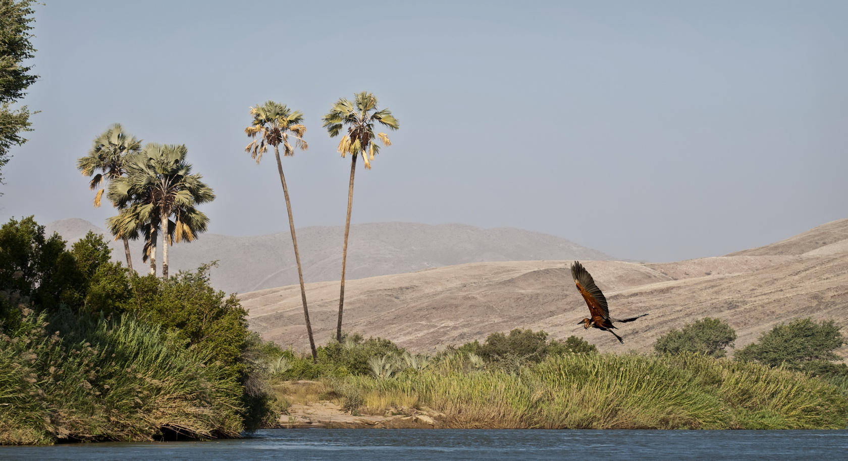 Birdlife along the Kunene is particularly rewarding