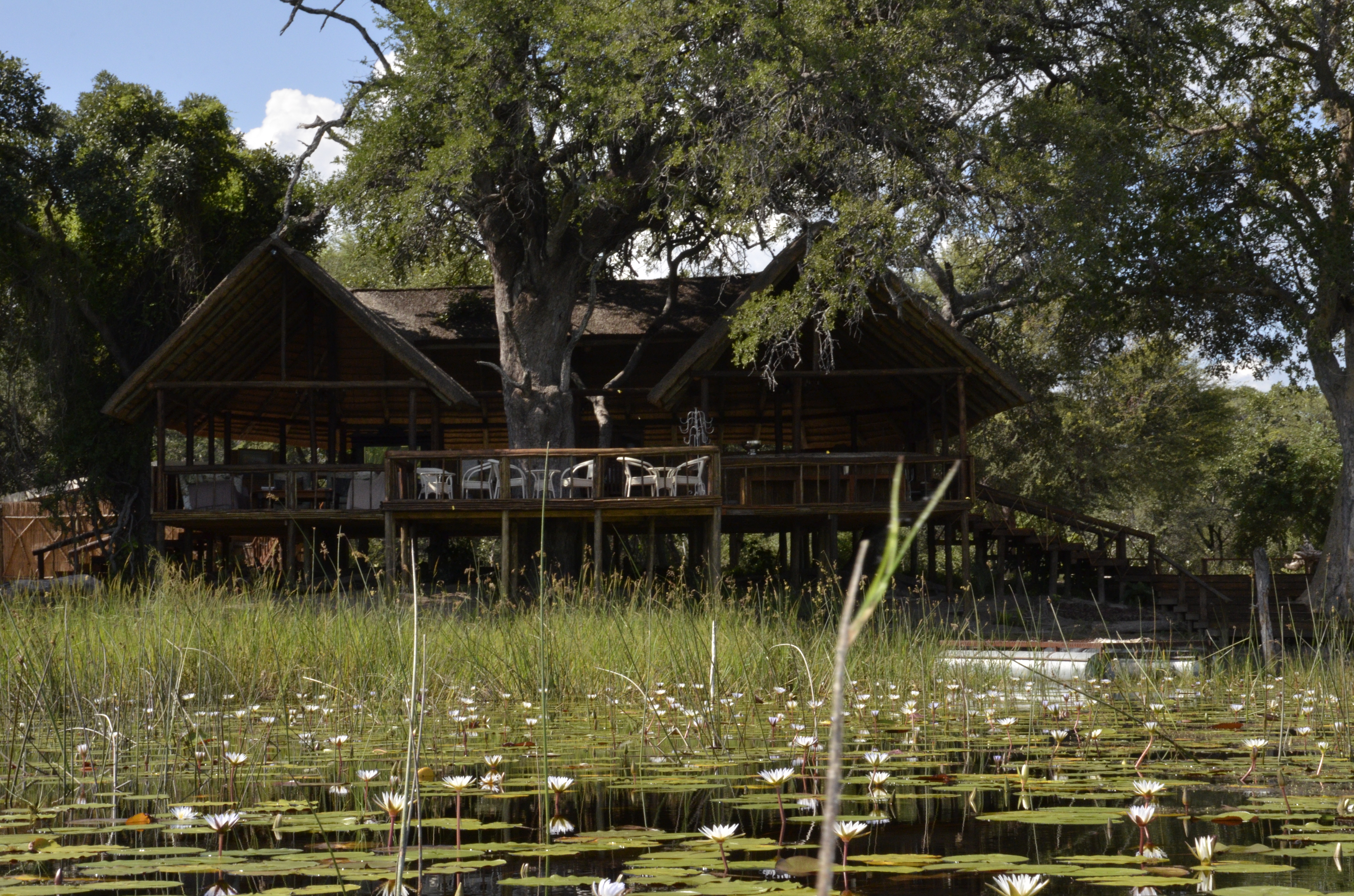 Tswii Okavango Lodge, Maun | Timbuktu Travel