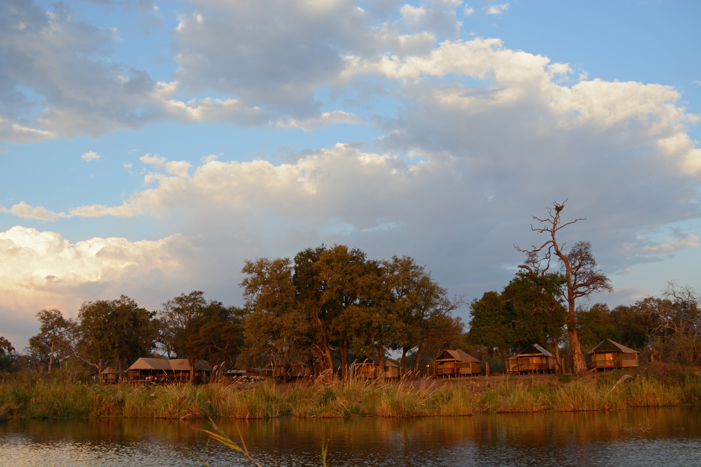 The camp seen from the Linyanti marsh