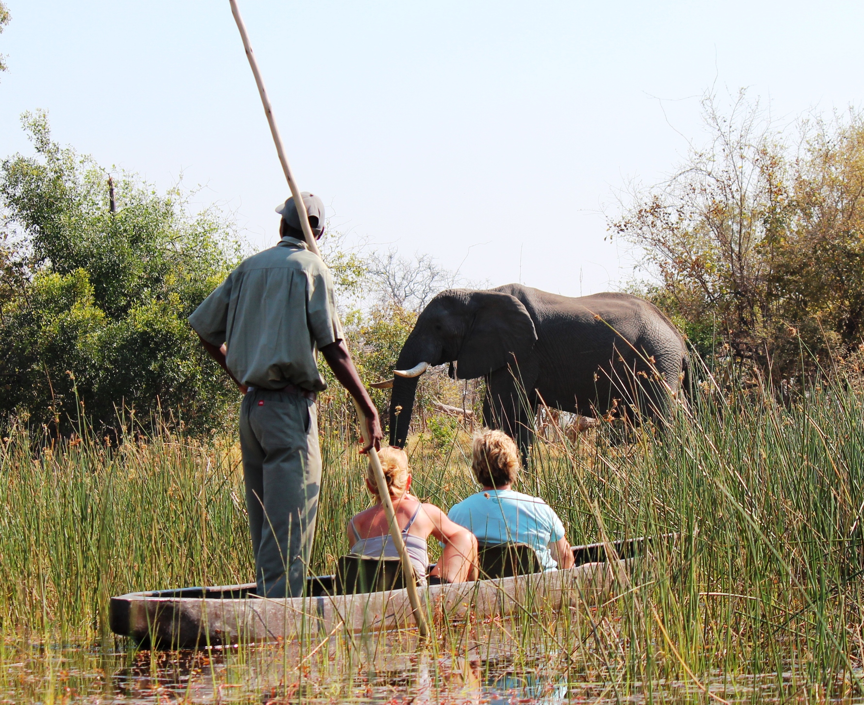 As well as horse riding and walking trails, we offer mekoros, boating, game drives and canoeing