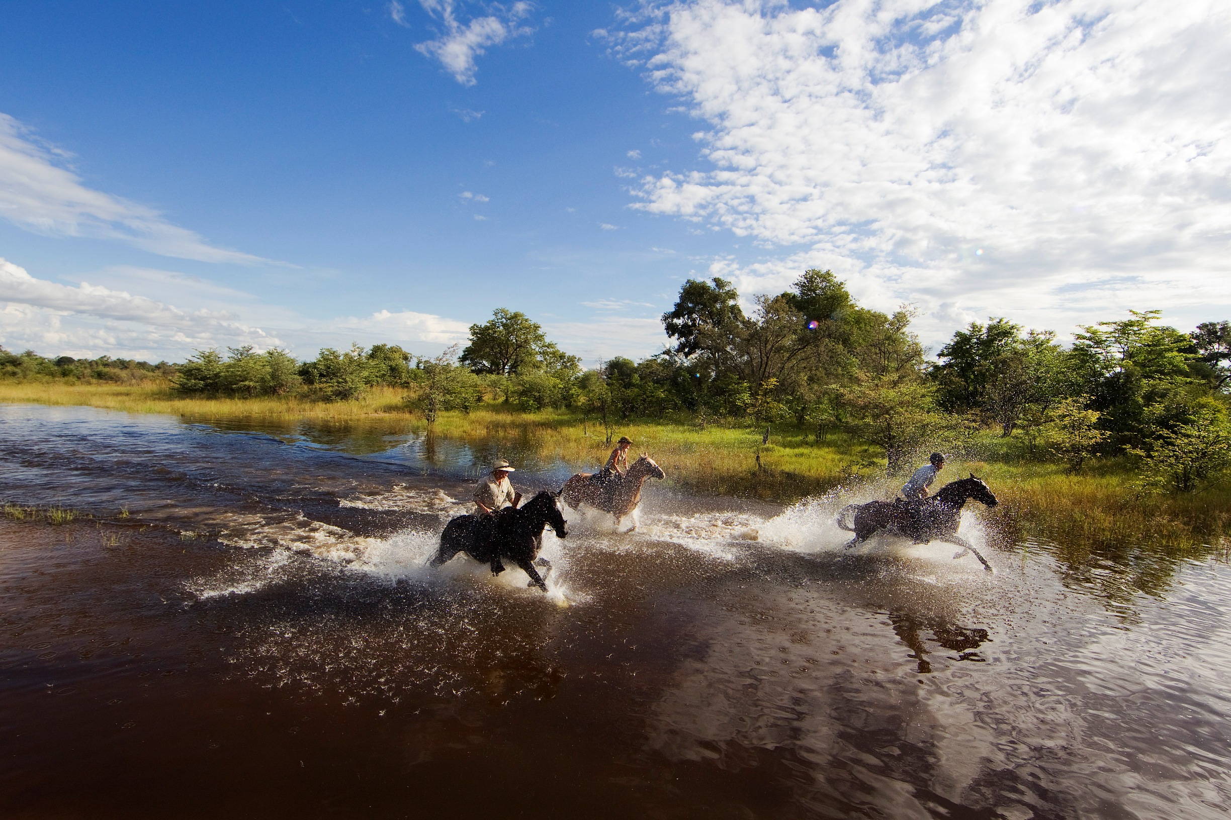 Motswiri Camp, Linyanti | Timbuktu Travel
