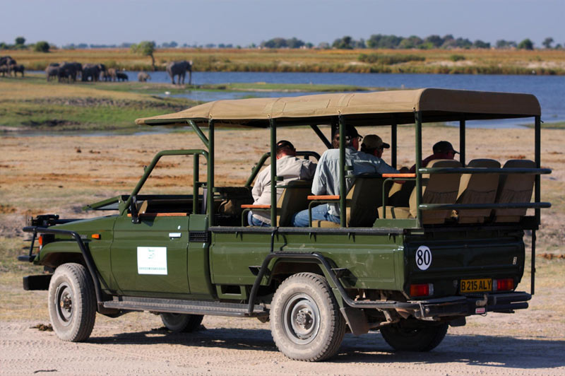 On safari on the banks of the Chobe River