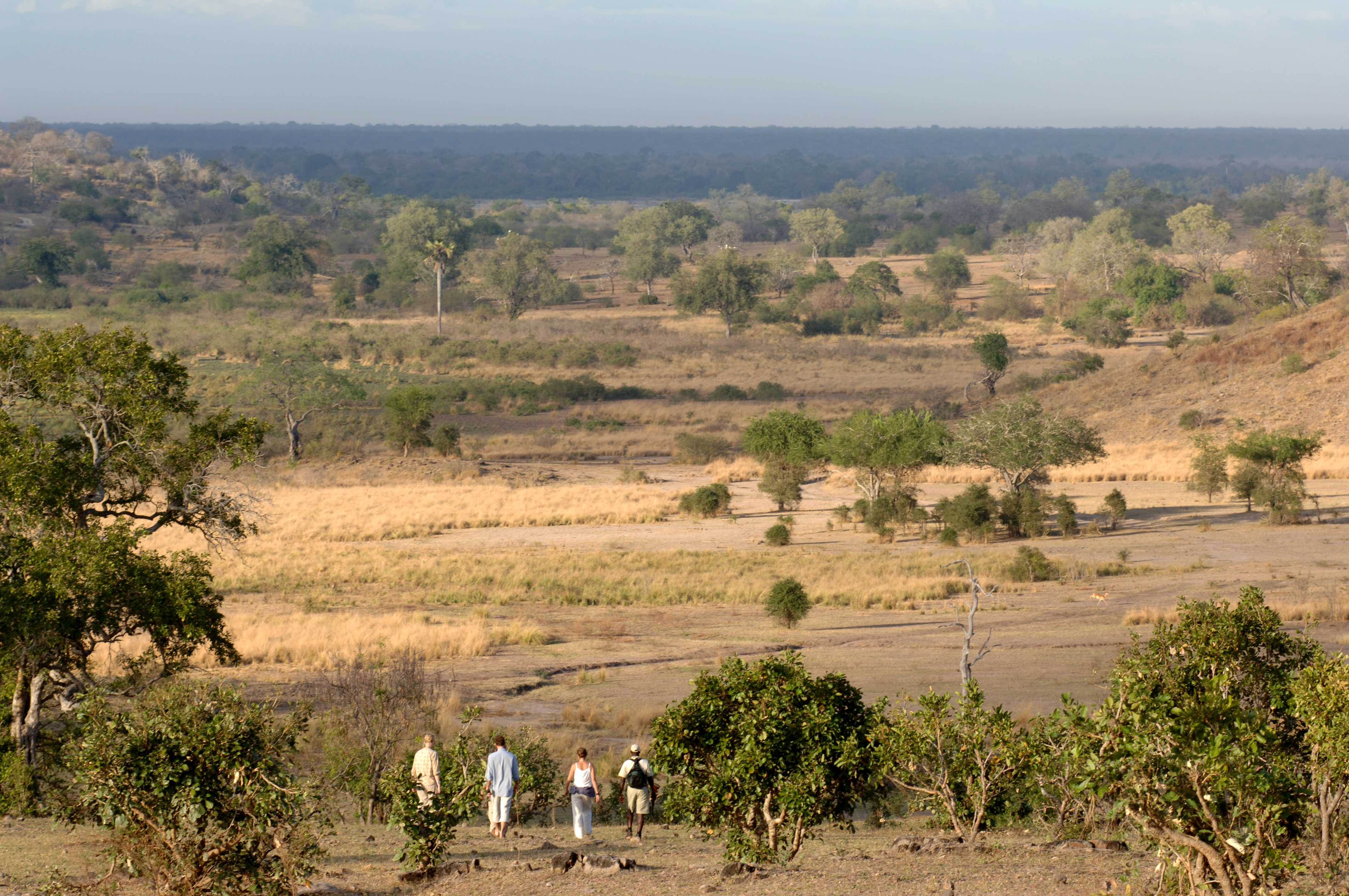 Walking is what the Selous is all about, it is an incredible opportunity to learn more about the little things in the bush. 