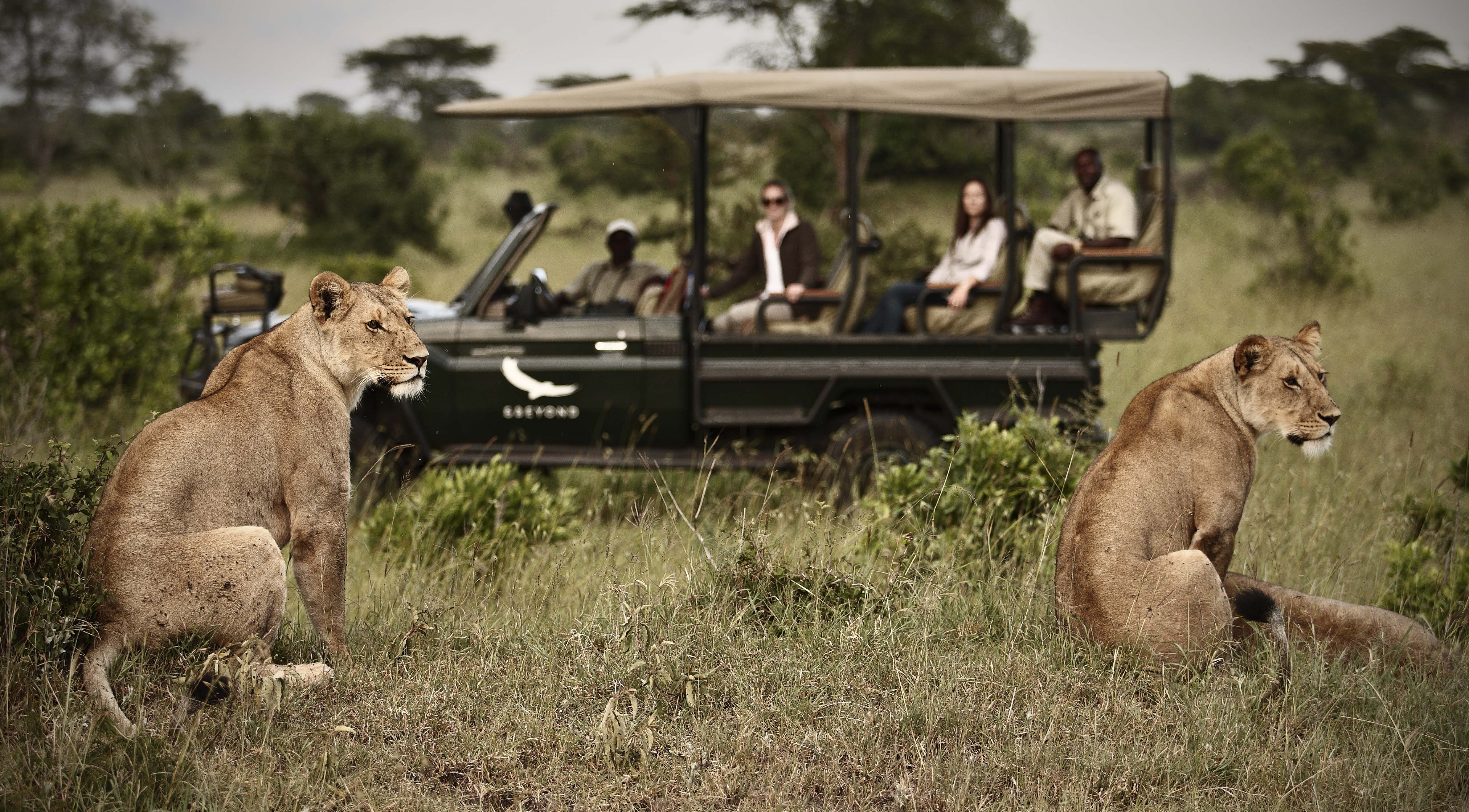 Game Drive at klein's Camp