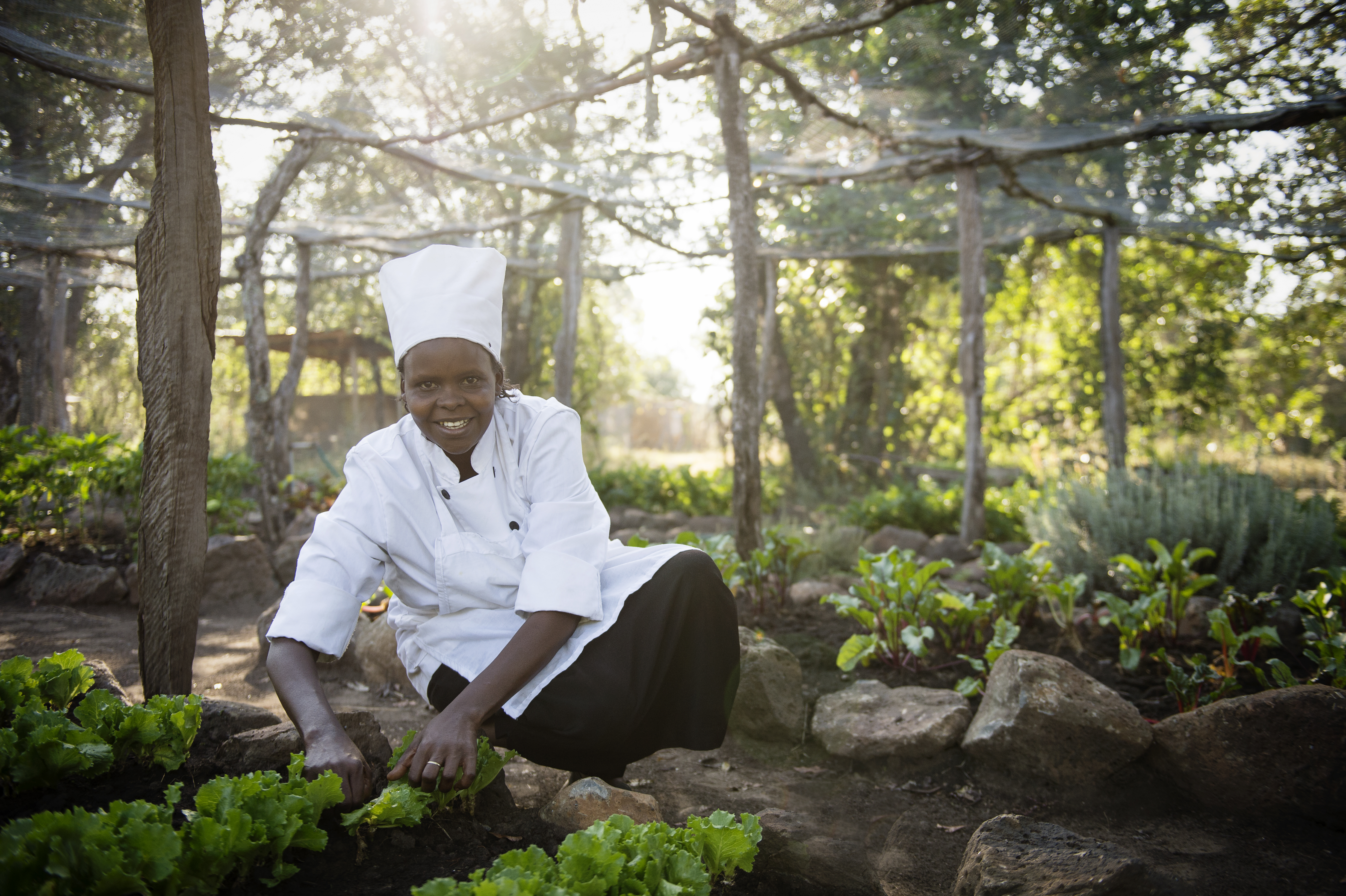 Adrian's Shamba our organic veggie patch 