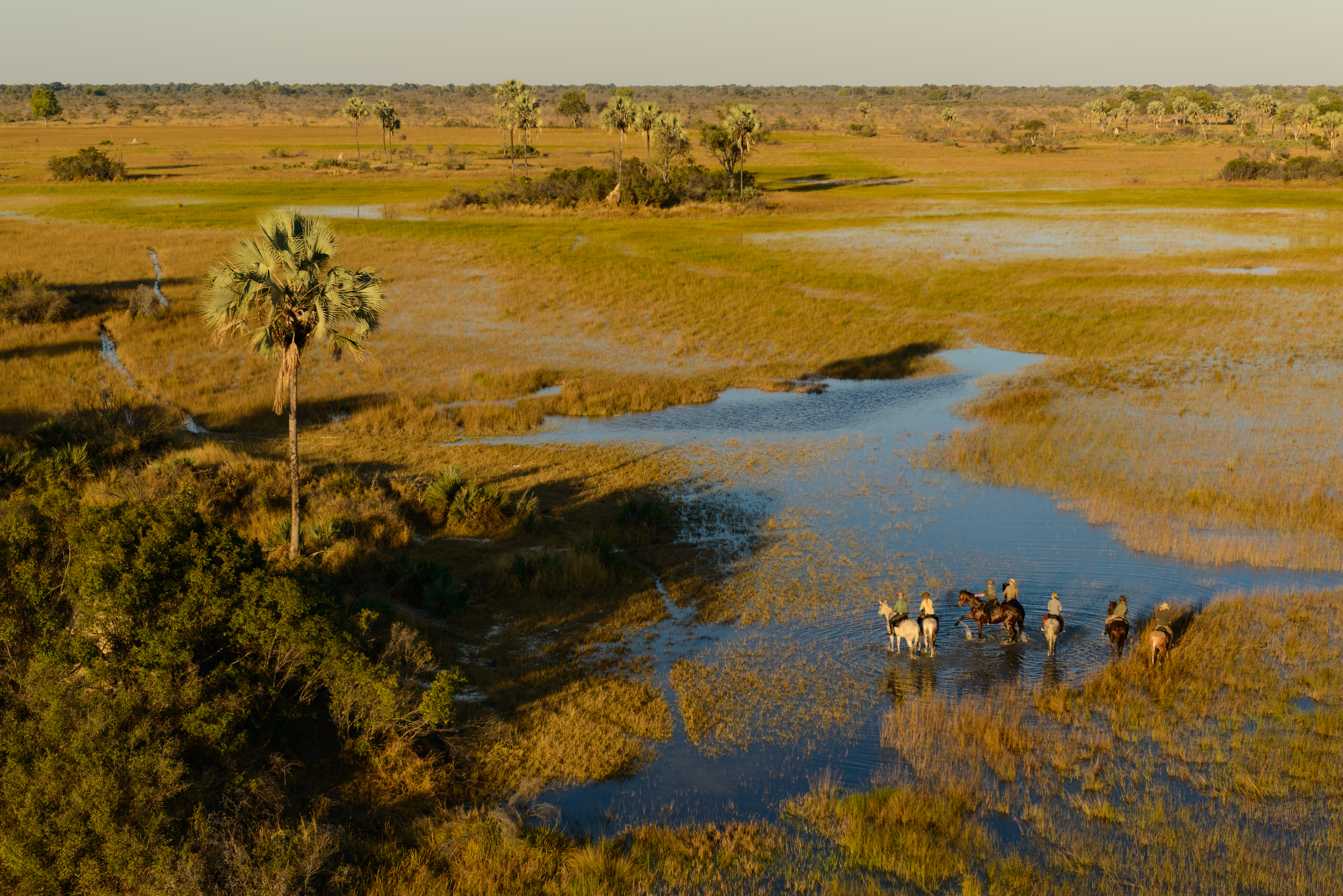 Guests have 450,000 acres of pristine wilderness of the Okavango Delta to explore