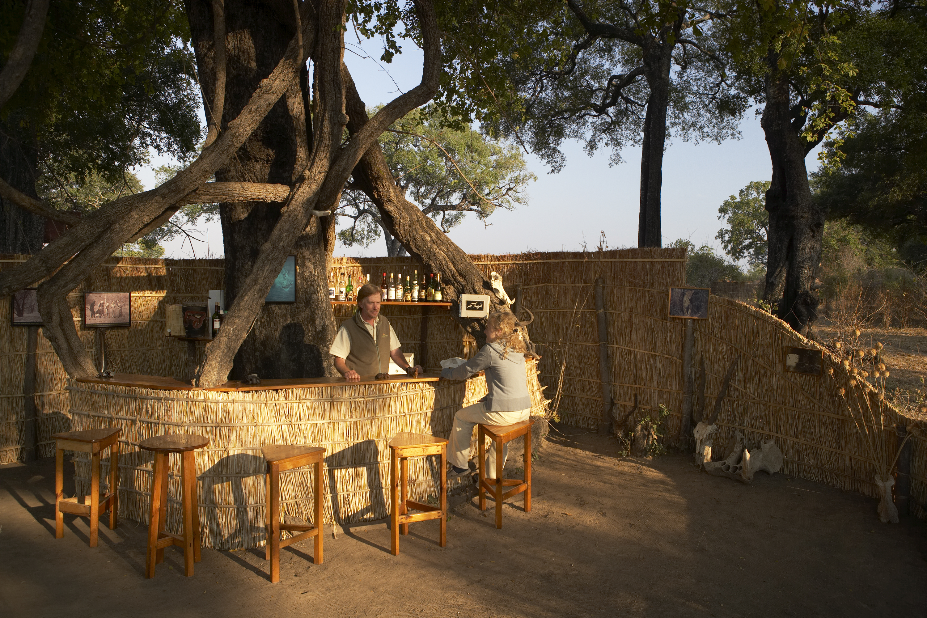 Mwamba's Bar area is built beneath African Ebony Trees