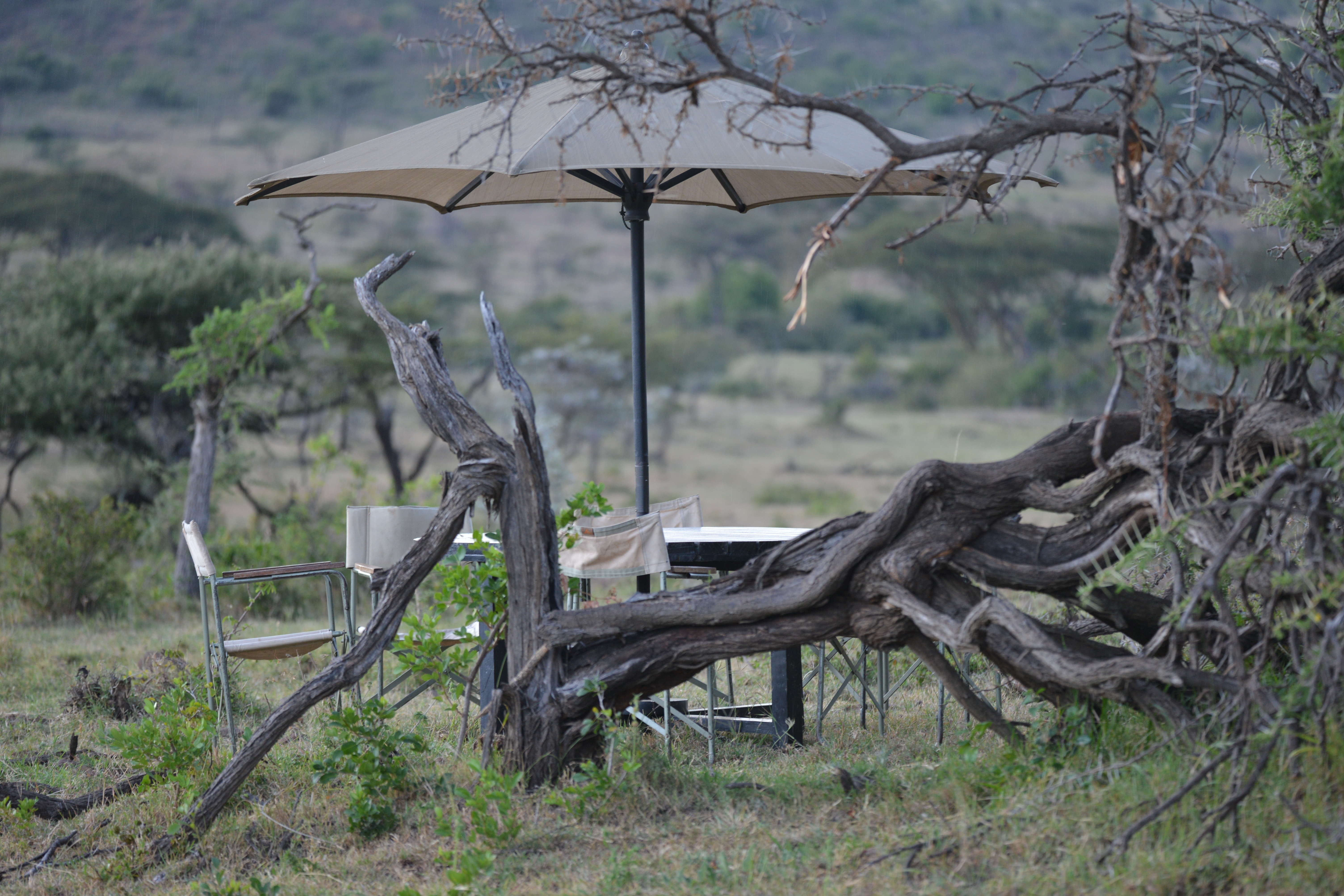 Excellent view and stunning scenery