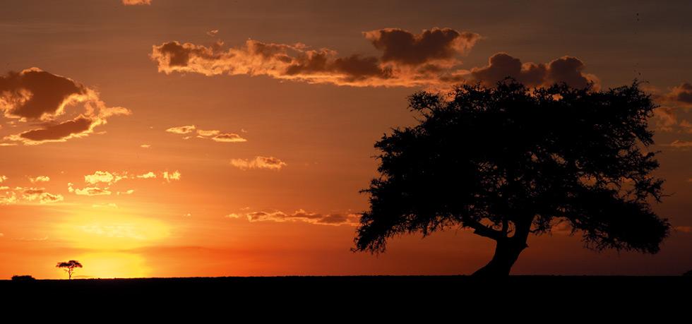 Fairmont Mara Safari Club, Masai Mara | Timbuktu Travel