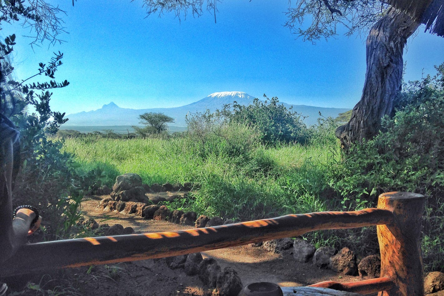 kilimanjaro from room