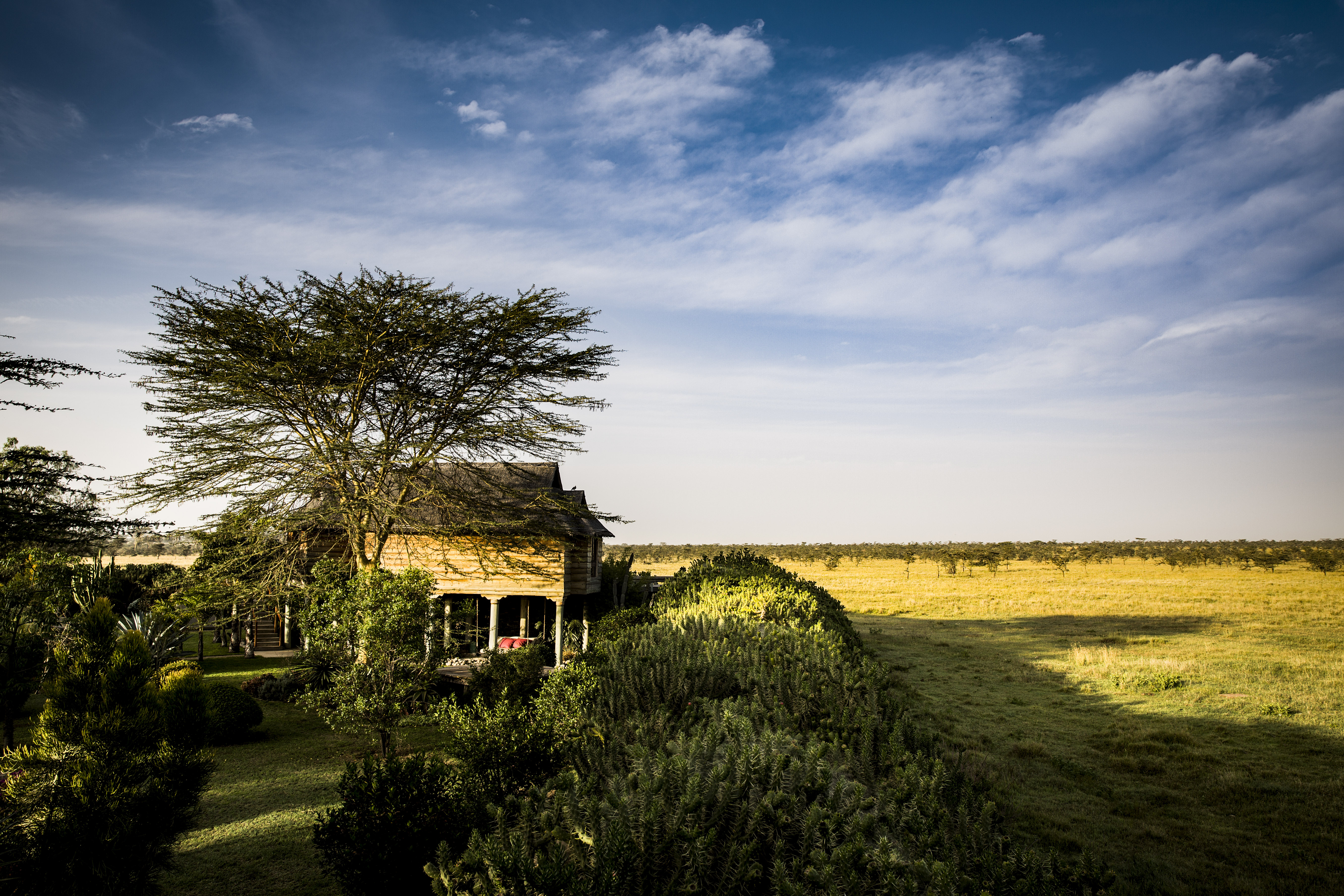 Segera Retreat, Laikipia | Timbuktu Travel