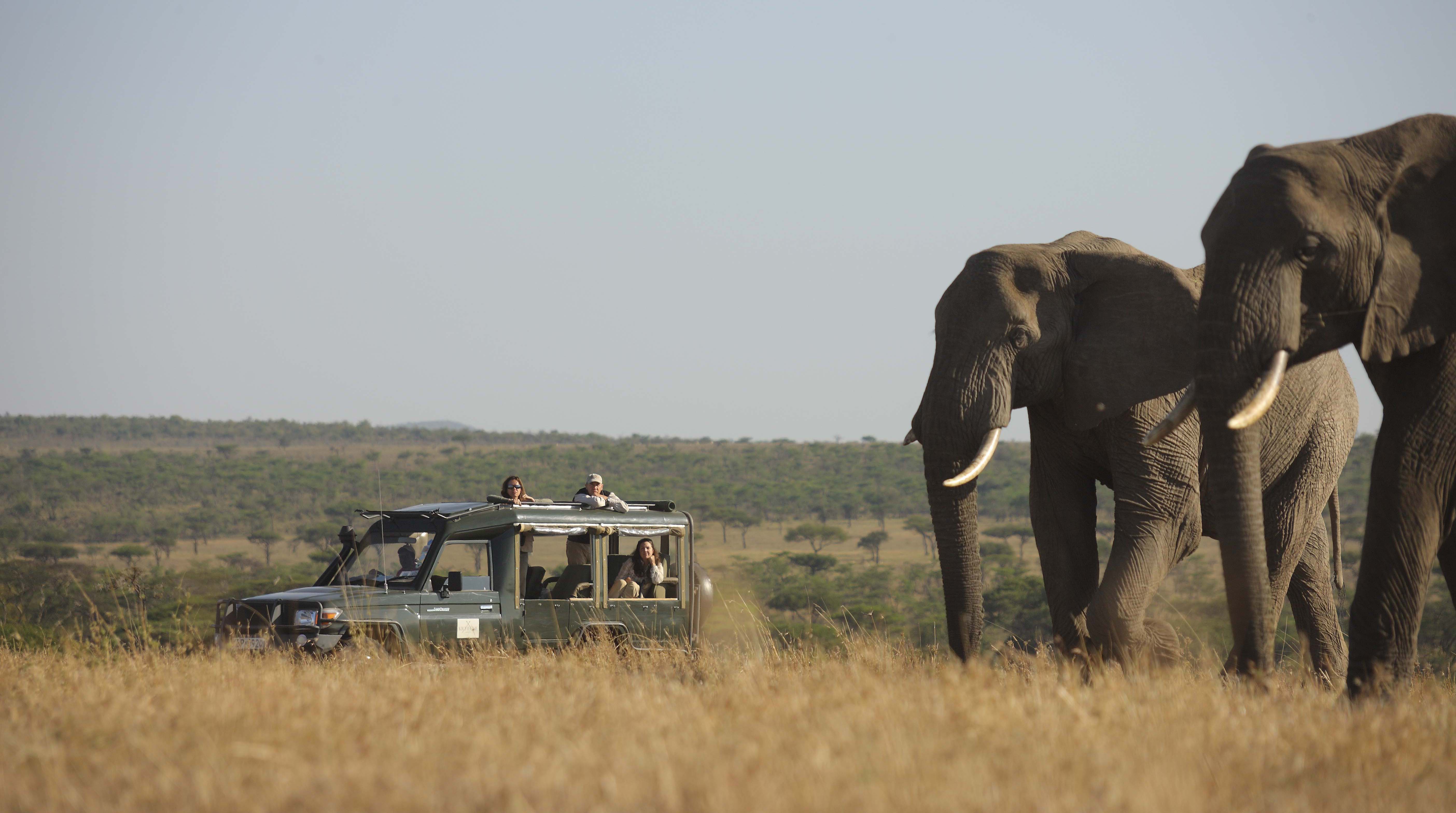 Kicheche Valley Game Drive