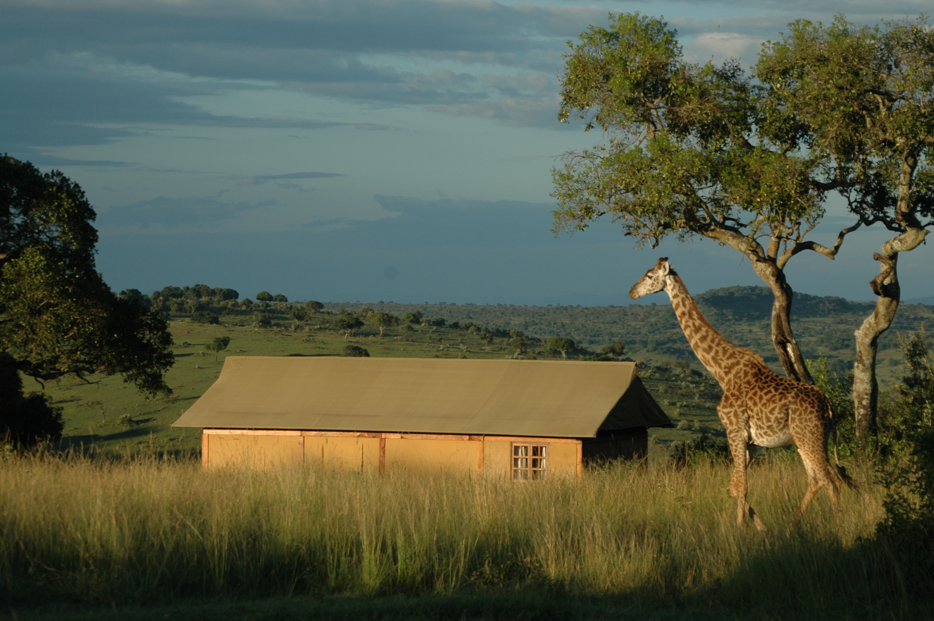 Mara West, Masai Mara | Timbuktu Travel