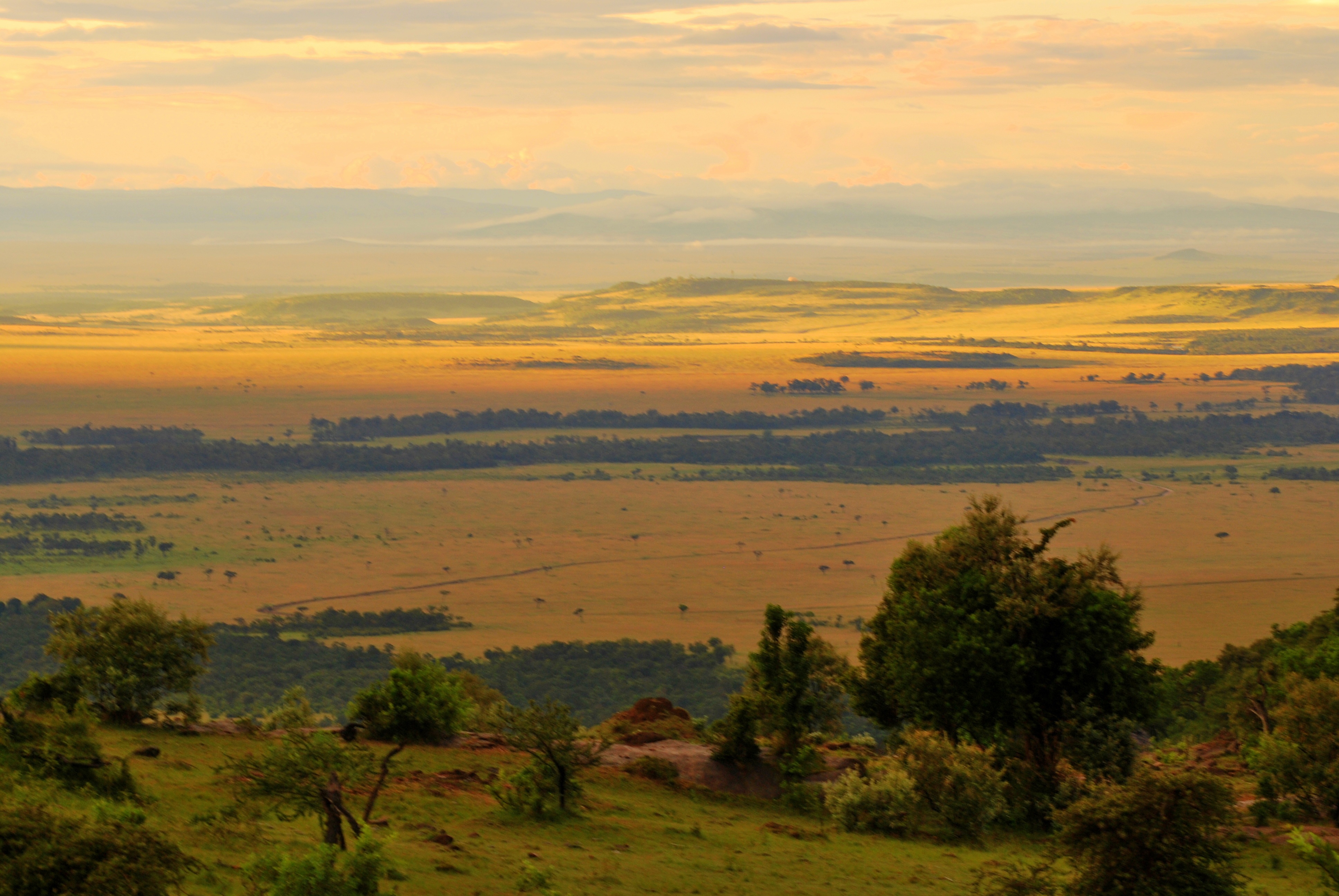 What more is there to say?