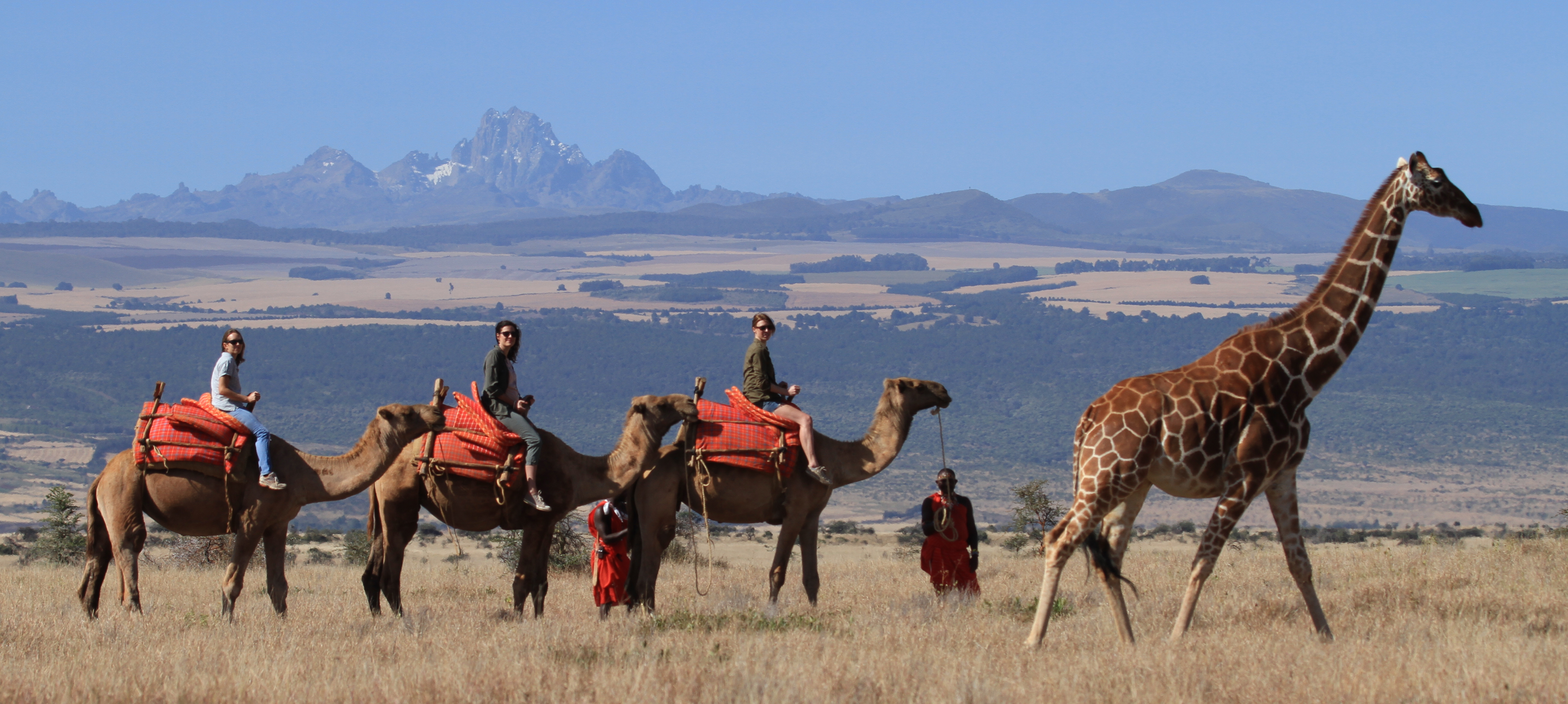 Activities - Camel Walk / Ride