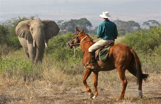 Get close from horseback
