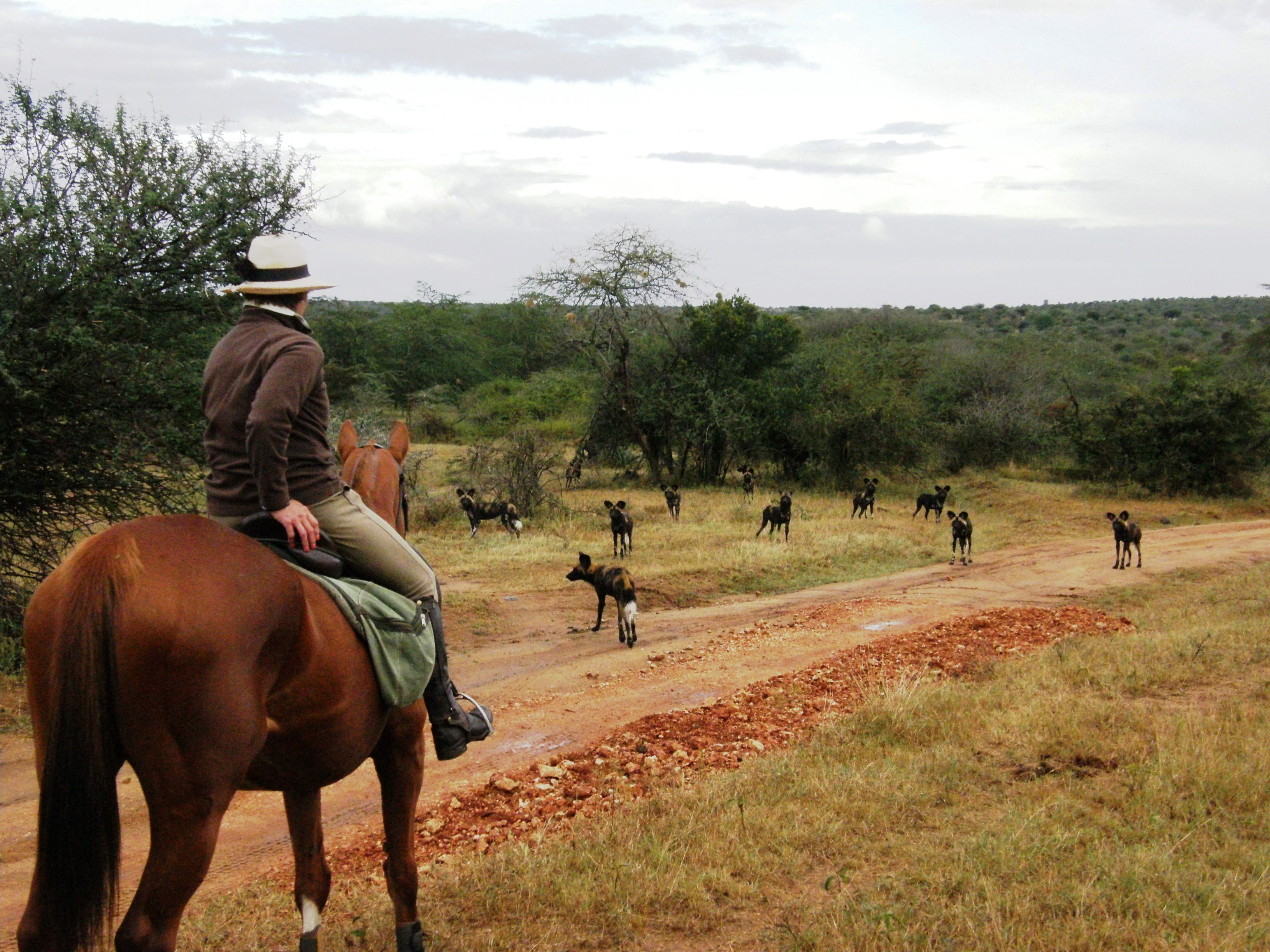 An extremely rare opportunity!