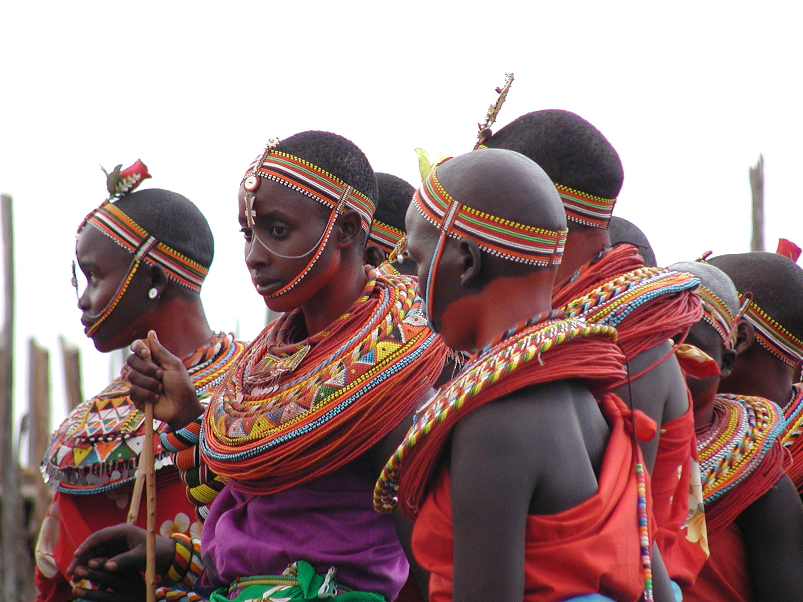 Visit a Samburu village