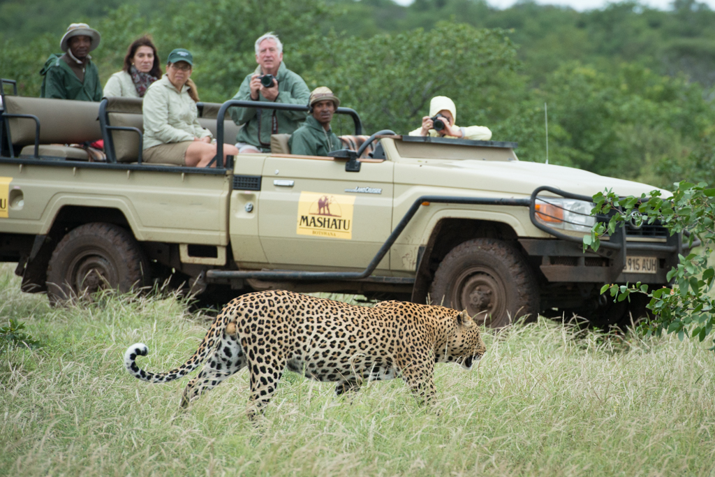 Mashatu Vehicle & Leopard