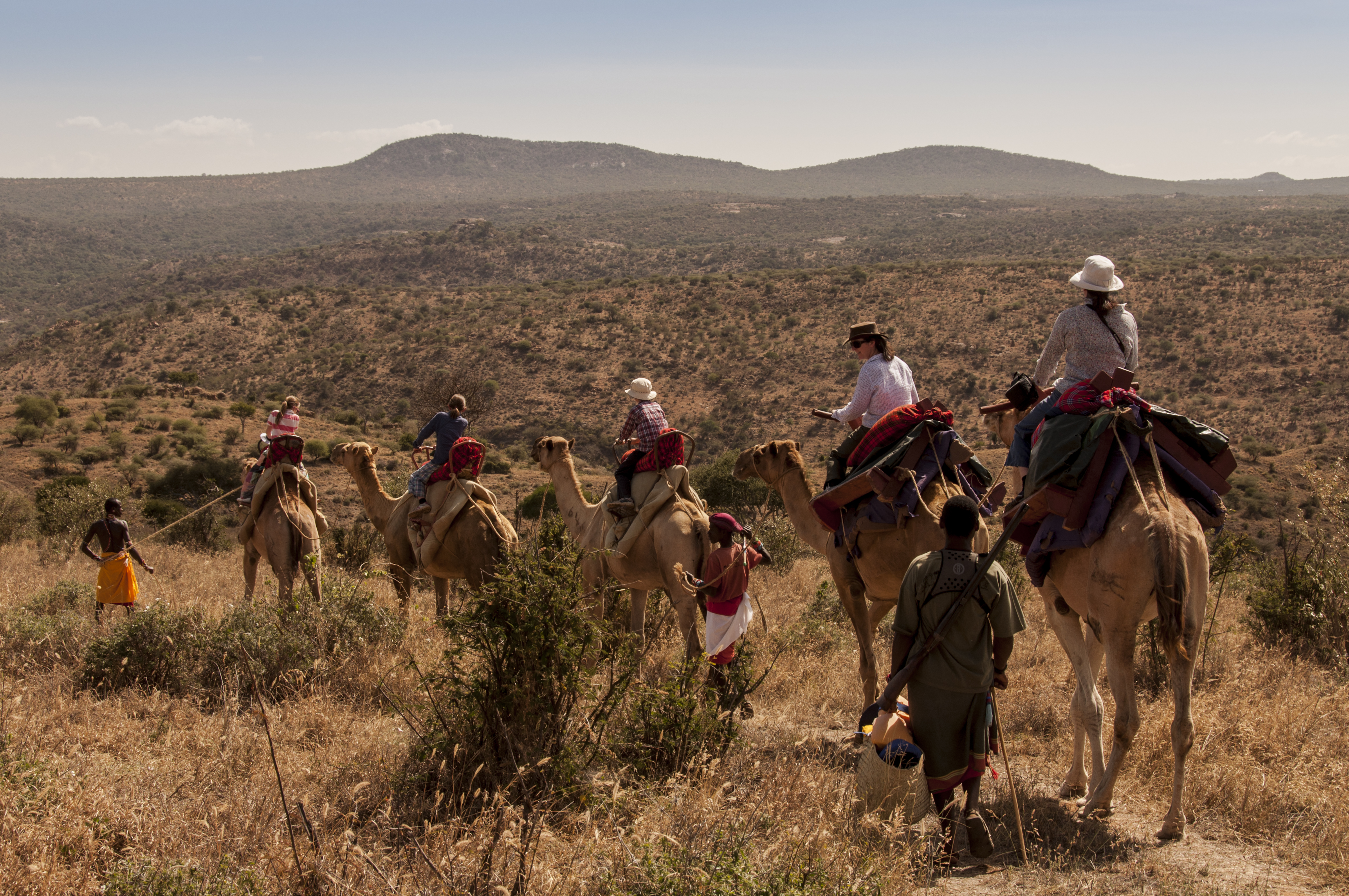 A walk on the wild side