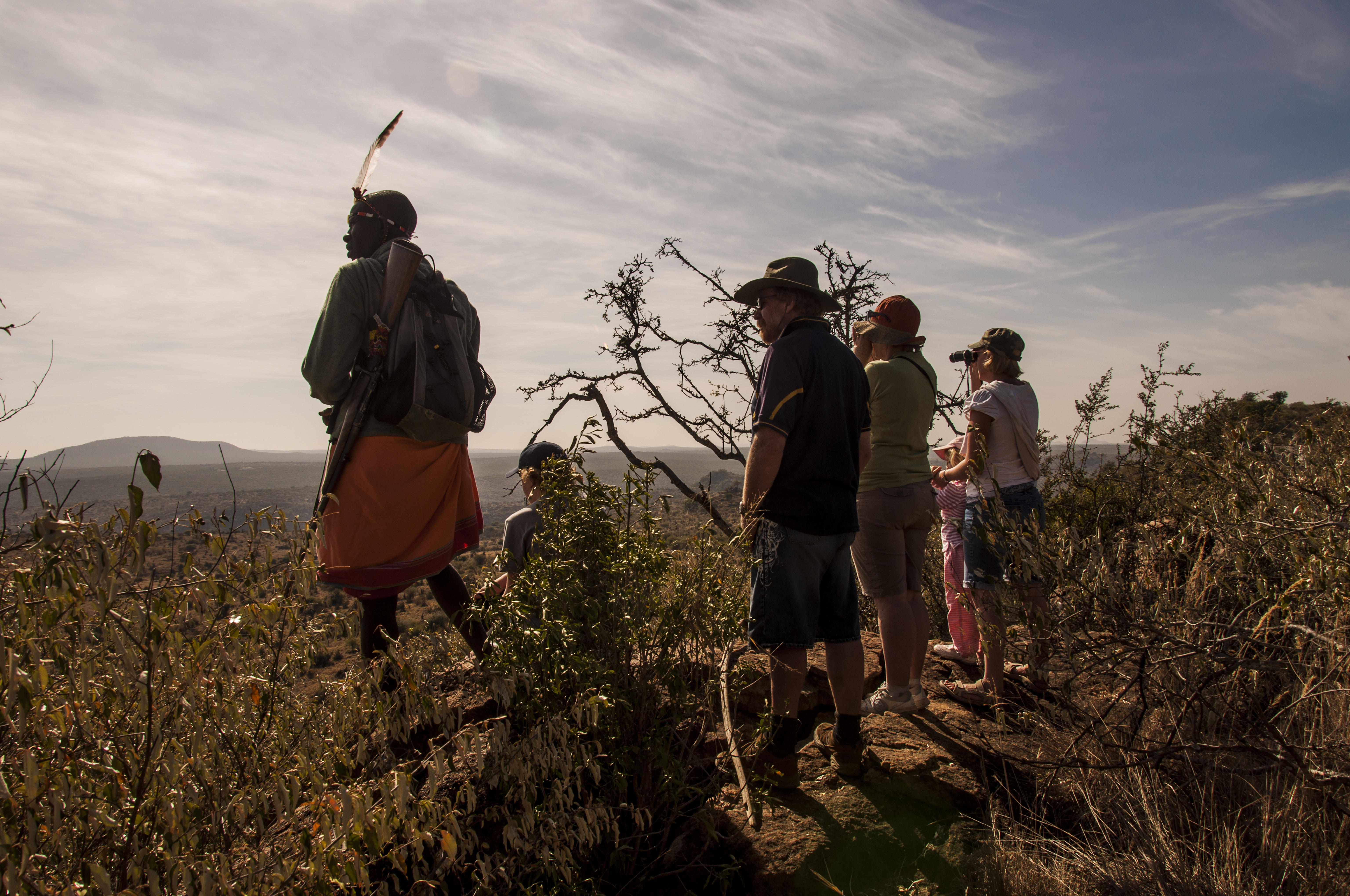 A walk on the wild side