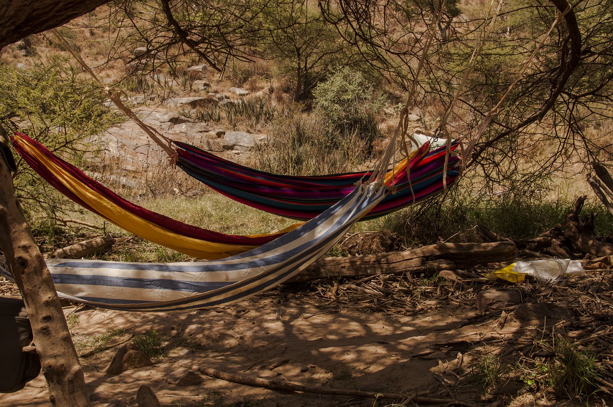 A walk on the Wild Side