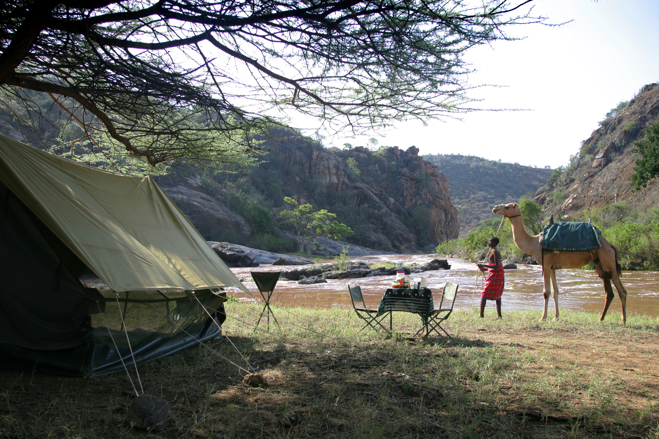 A Walk on the Wild Side