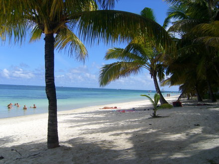 Le Palmiste Resort & Spa, Mauritius | Timbuktu Travel