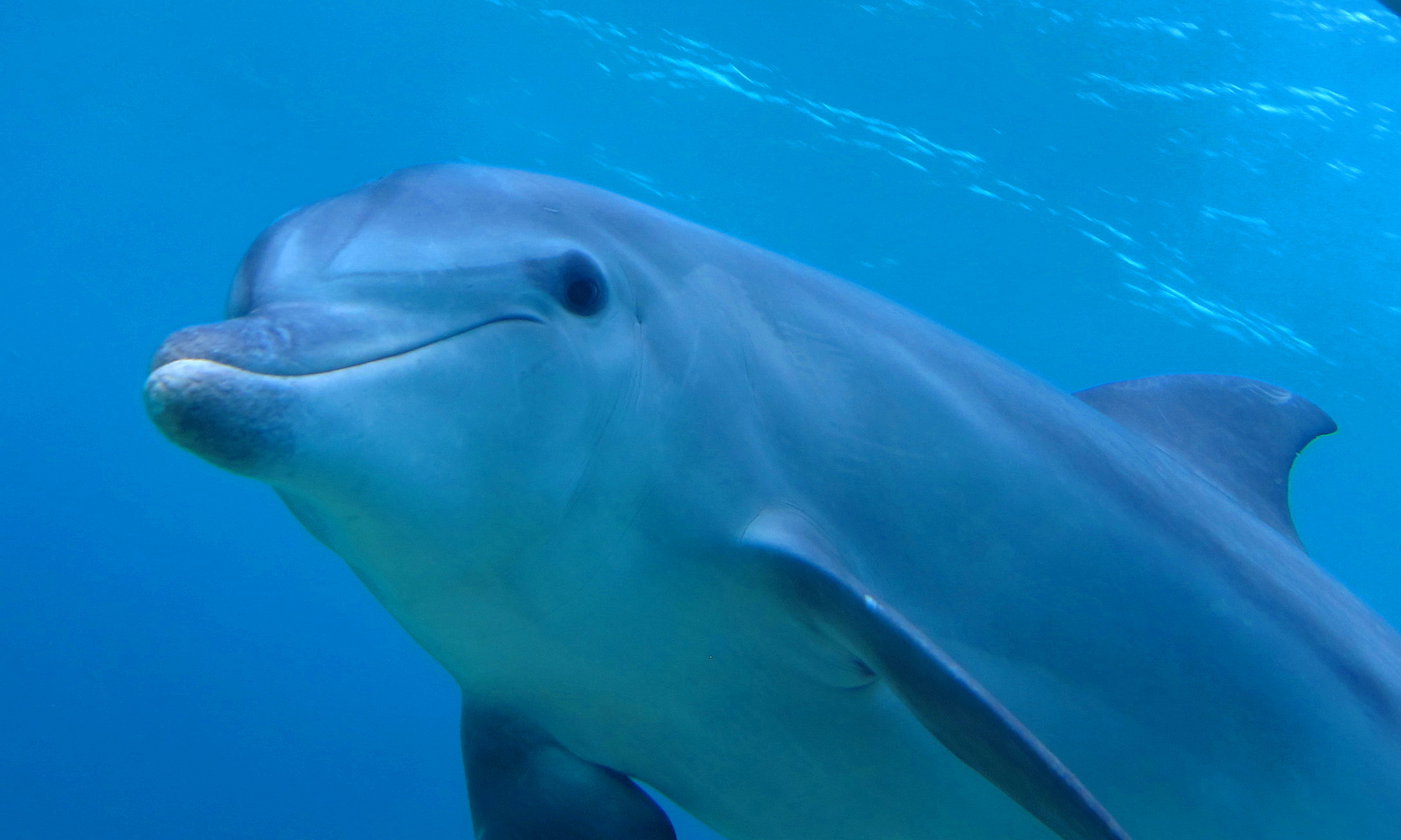 Ponto Malongane Holiday Resort, Maputo | Timbuktu Travel