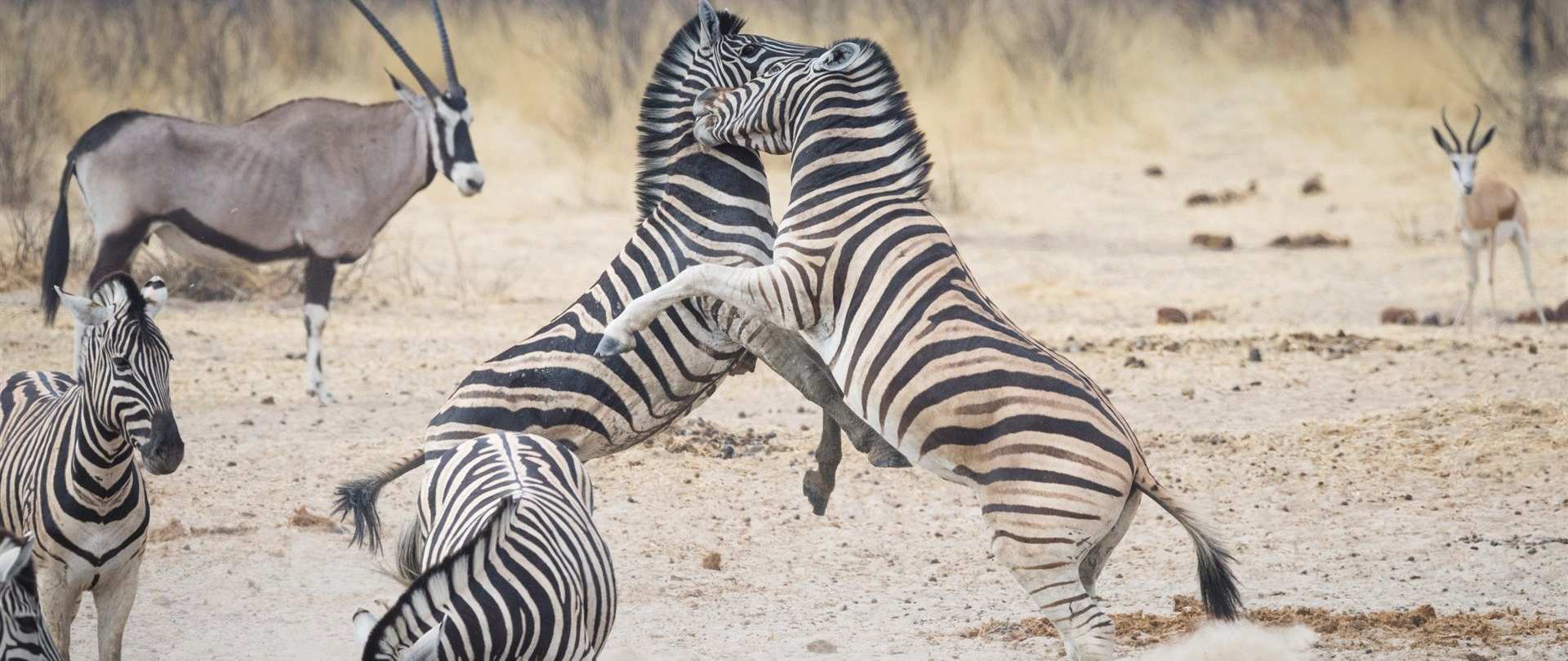 Sheya Shuushona Lodge, Damaraland | Timbuktu Travel