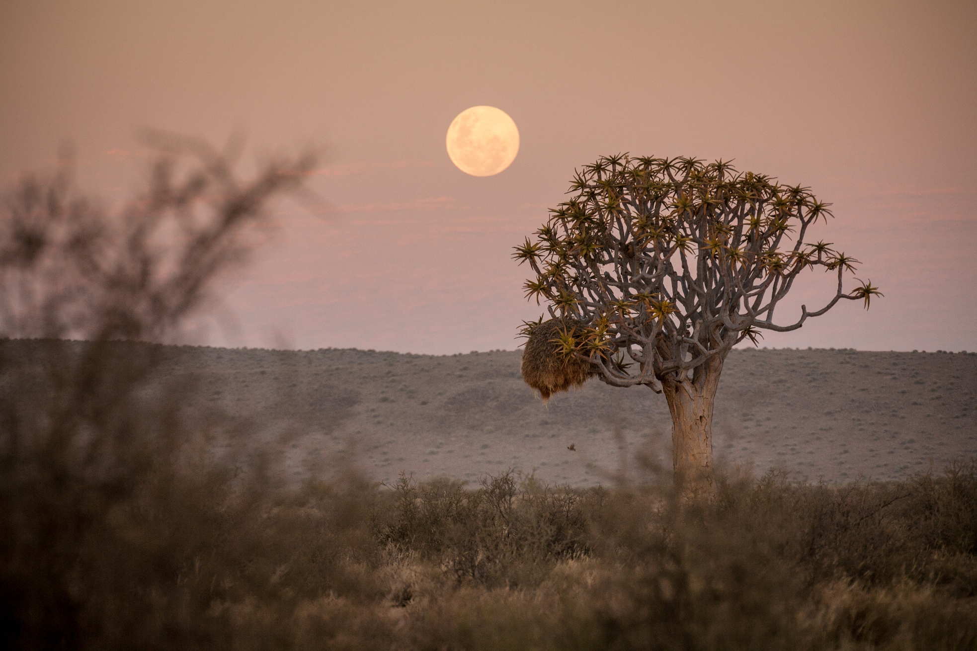 Moon greetings at Canyon Village 