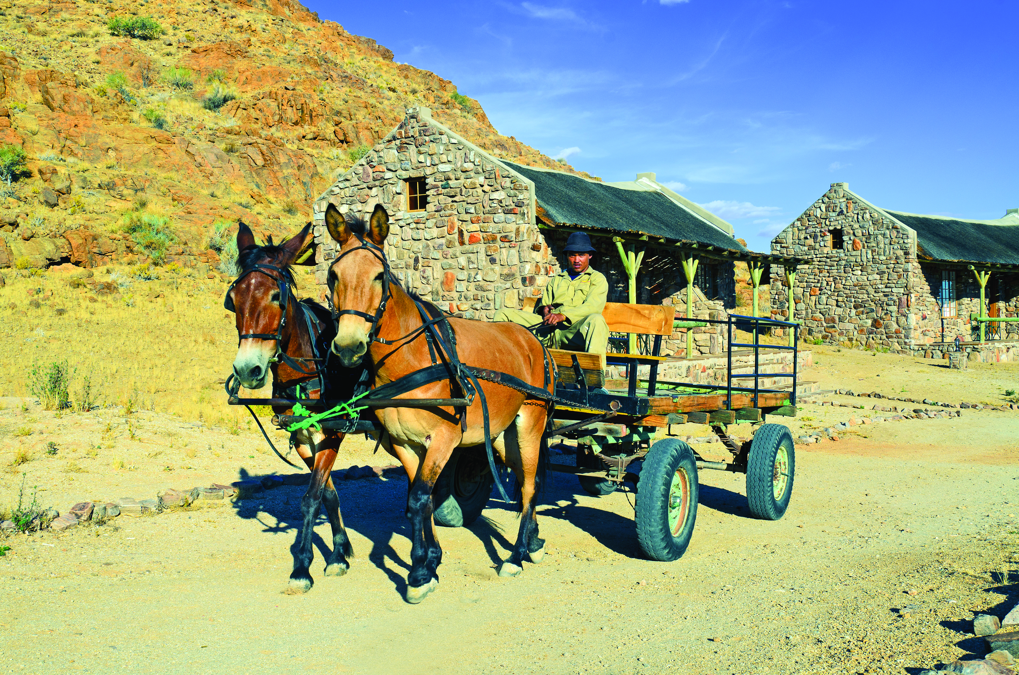 Donkey cart at Canyon Village 