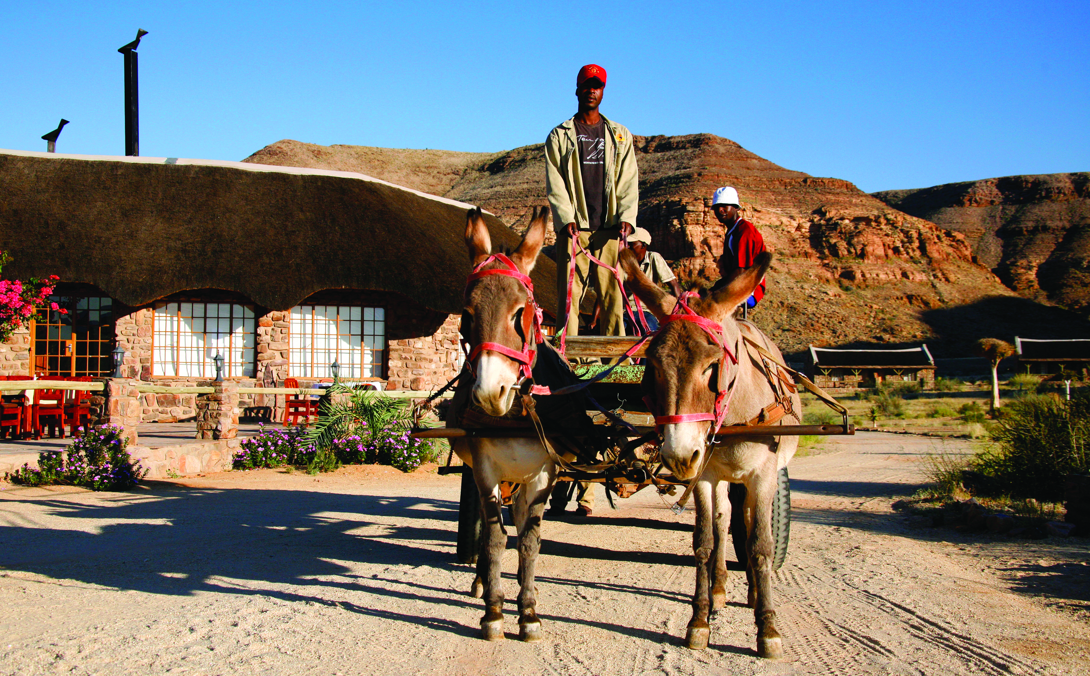Donkey cart at Canyon Village 