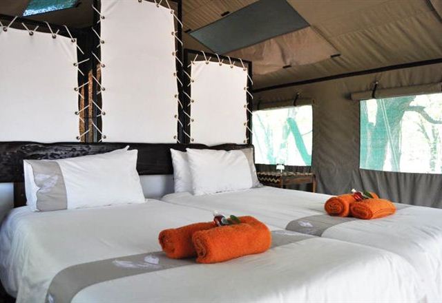 Mopane Camp, Kaokoland | Timbuktu Travel