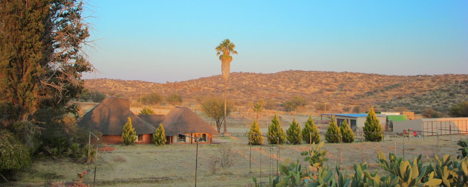 Vineyard Country B&B, Windhoek | Timbuktu Travel