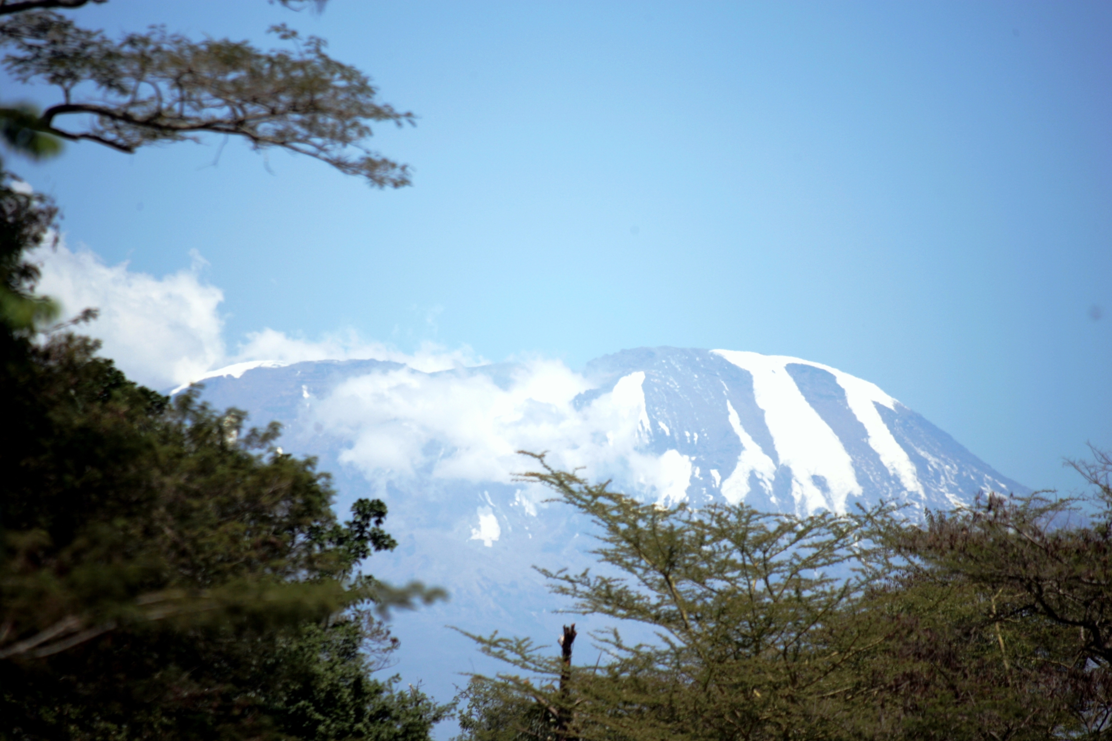 A view of Mt. Kilimanjaro from the grounds of the lodge.