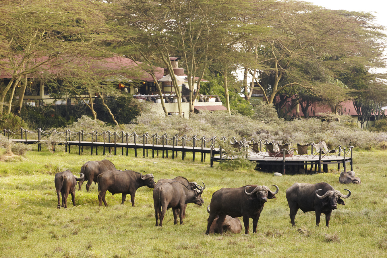 Daly gathering of the old dagger gang 