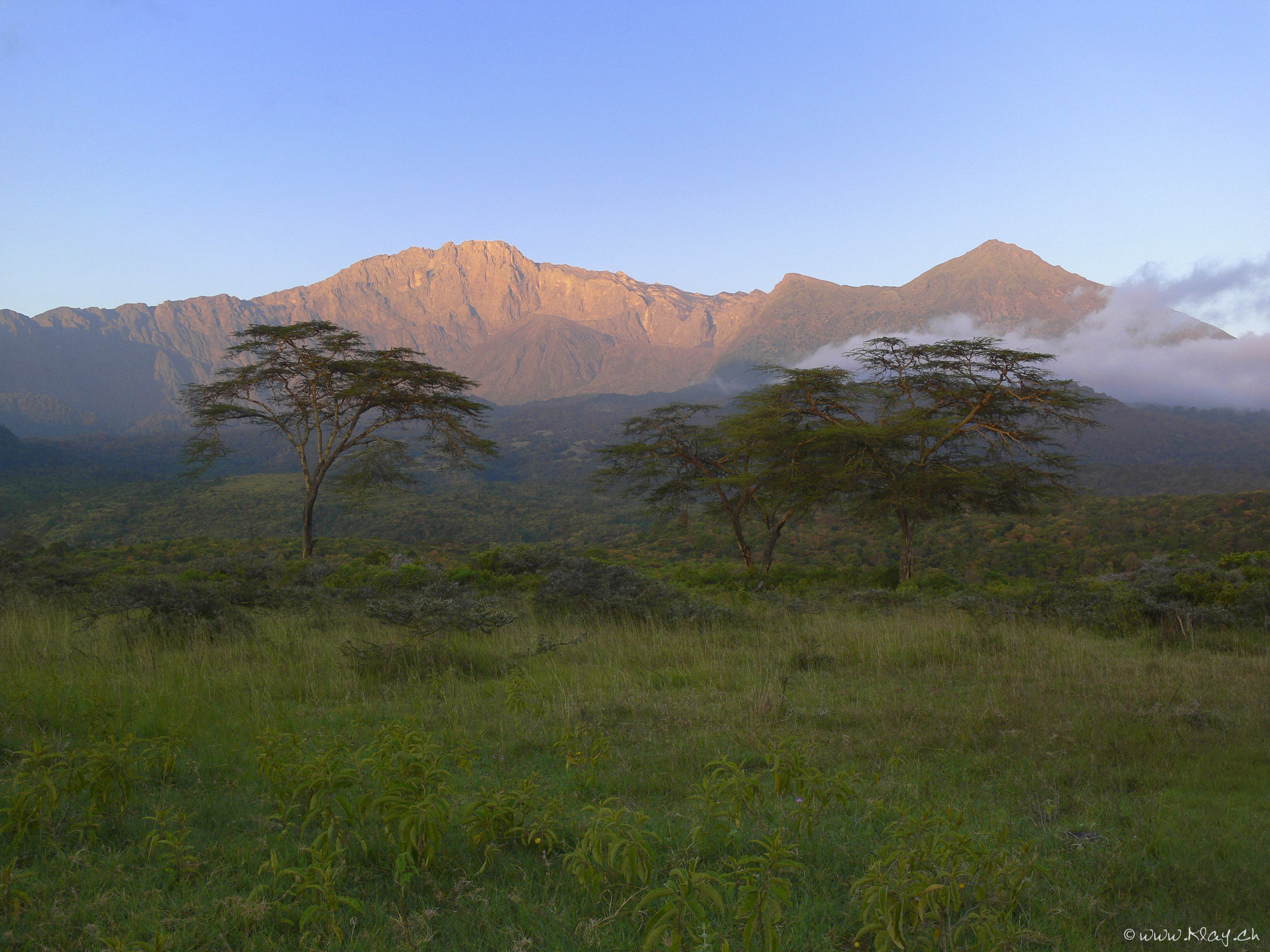 Early morning hours. 