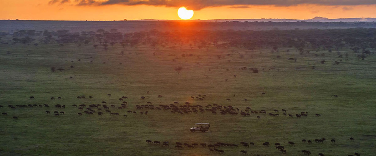 Serengeti Tortilis Camp, Serengeti | Timbuktu Travel