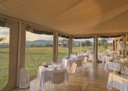 fine dining and wining