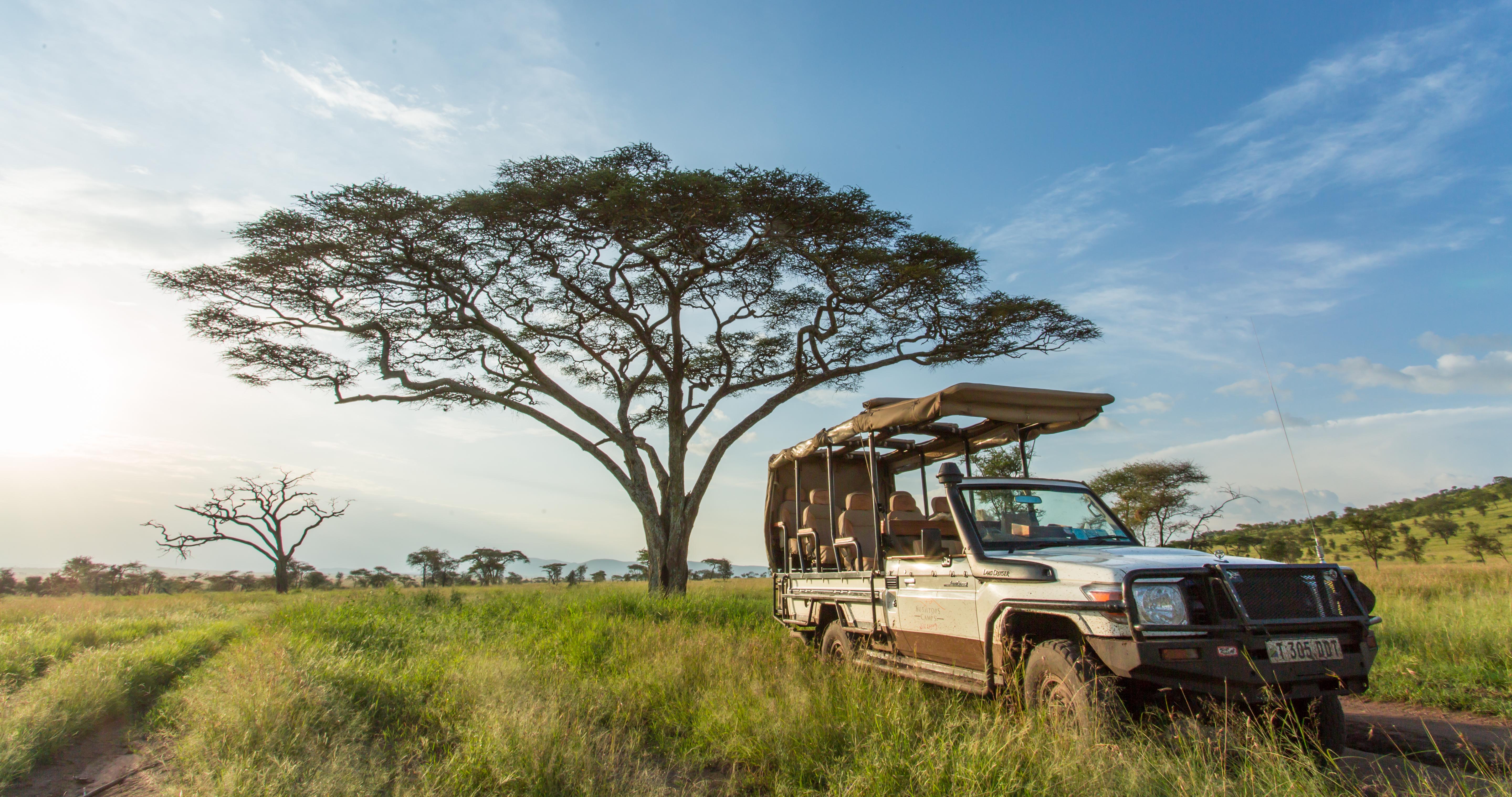 every booking is allocated a private 4x4 with an experienced Ranger and local spotter