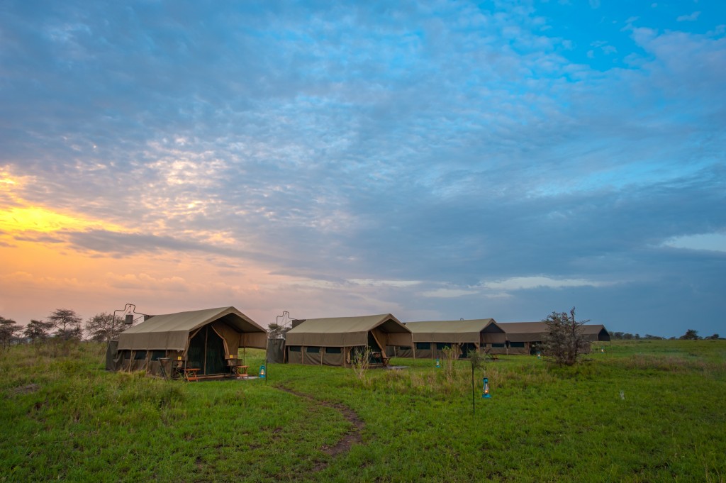 Kananga Special Tented Camp, Serengeti | Timbuktu Travel