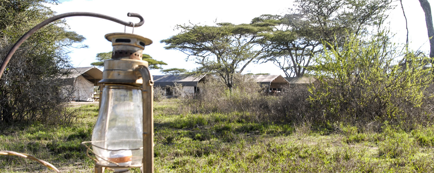Serengeti Savannah Camp, Serengeti | Timbuktu Travel