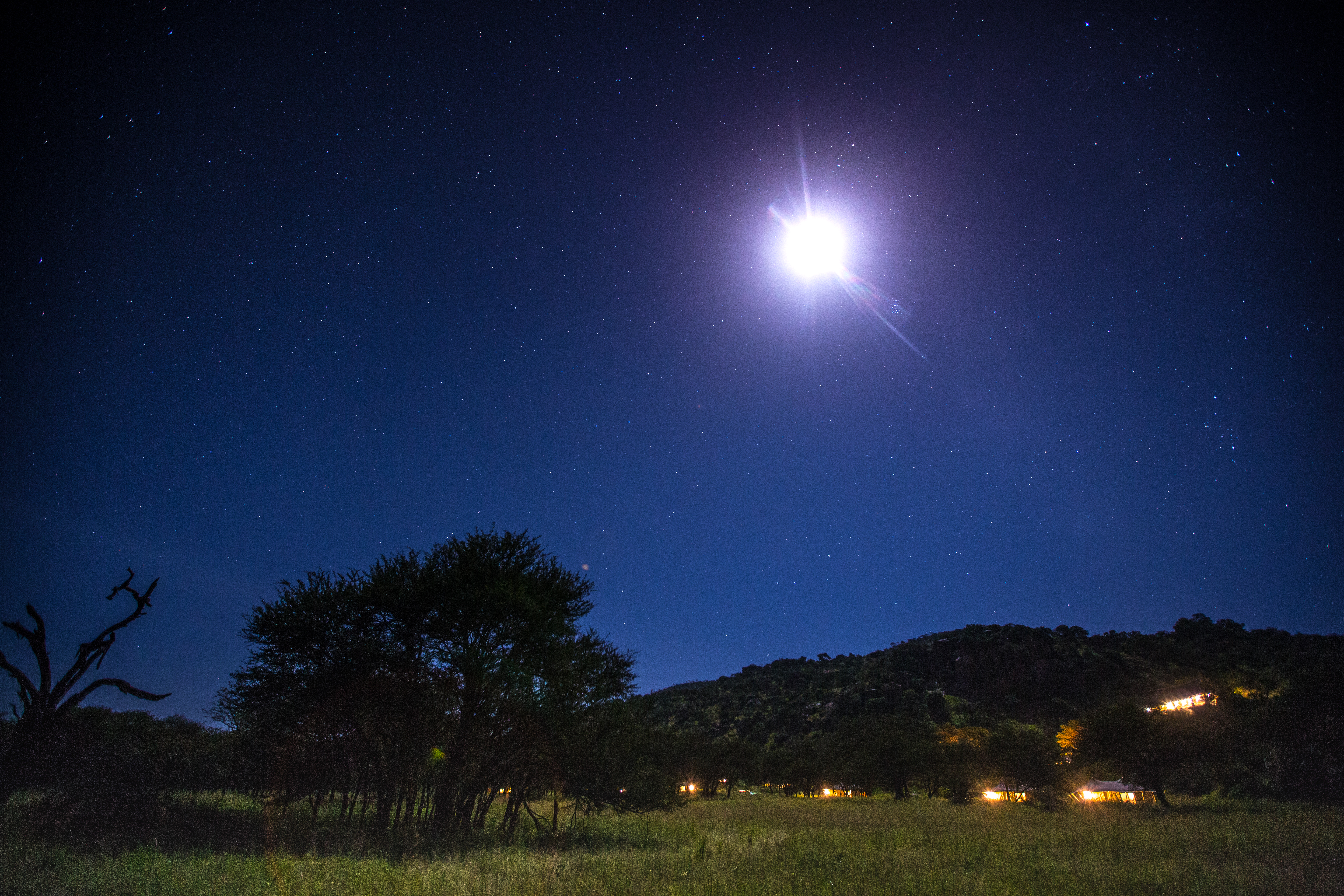 The camp under a starlit African sky
