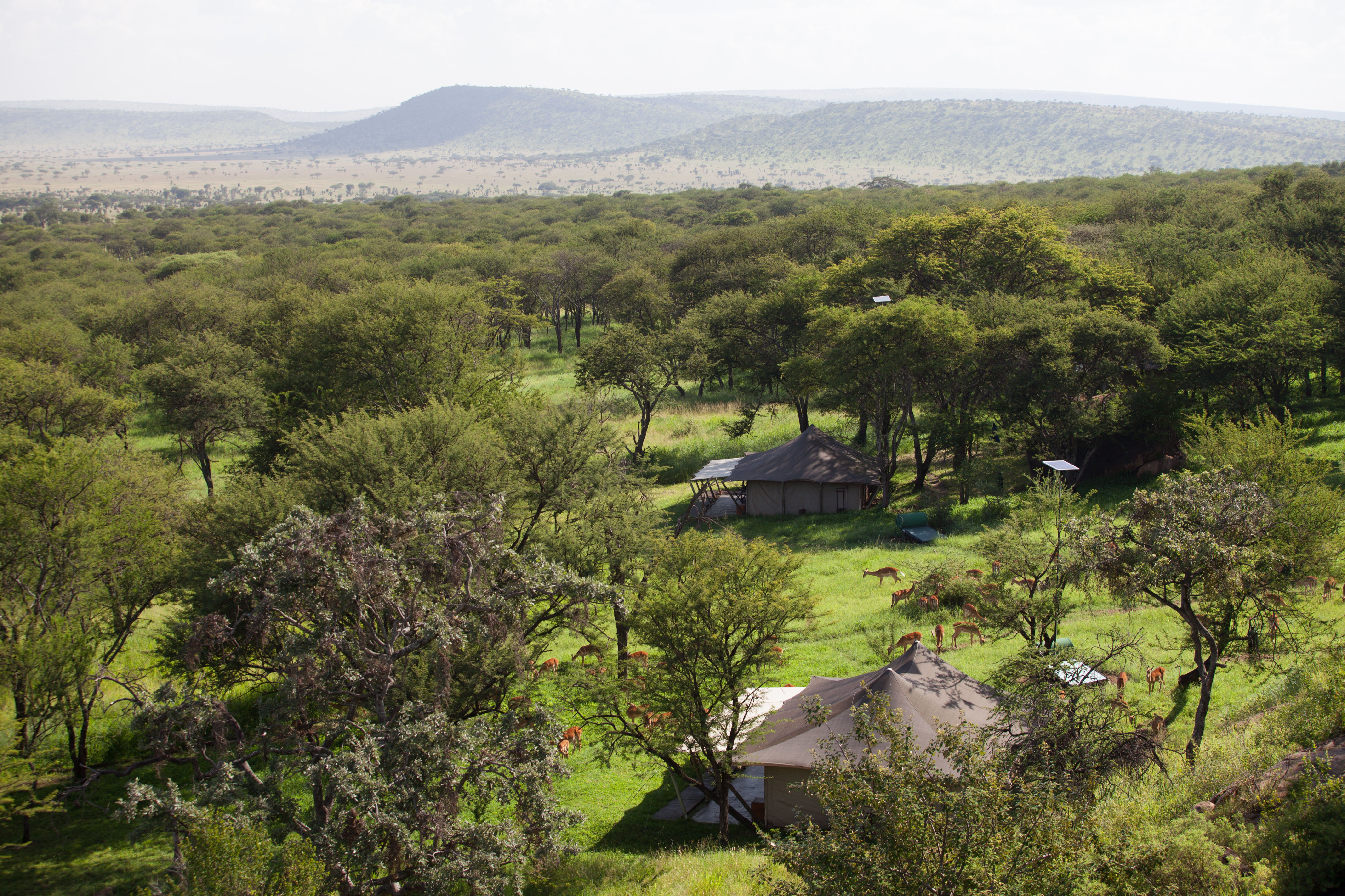 An aerial view over the camp from the lounge