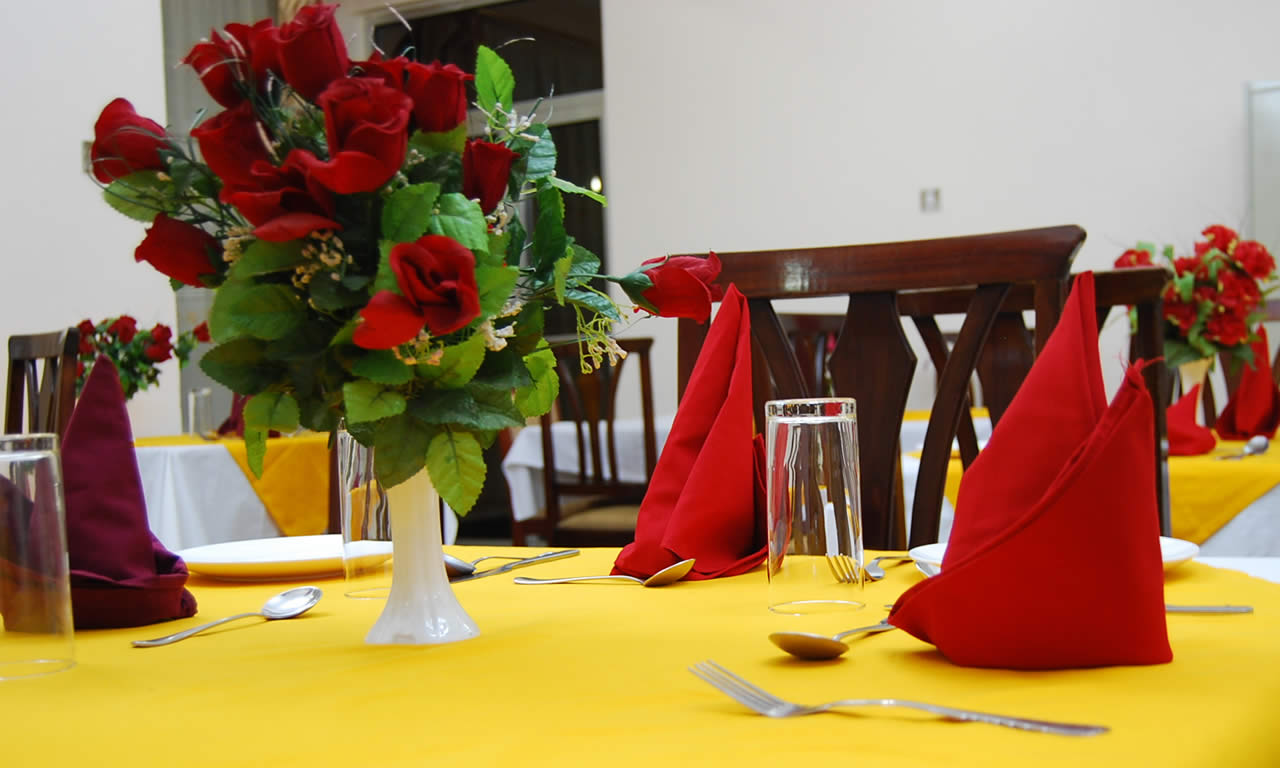 Snow View Hotel , Kilimanjaro | Timbuktu Travel